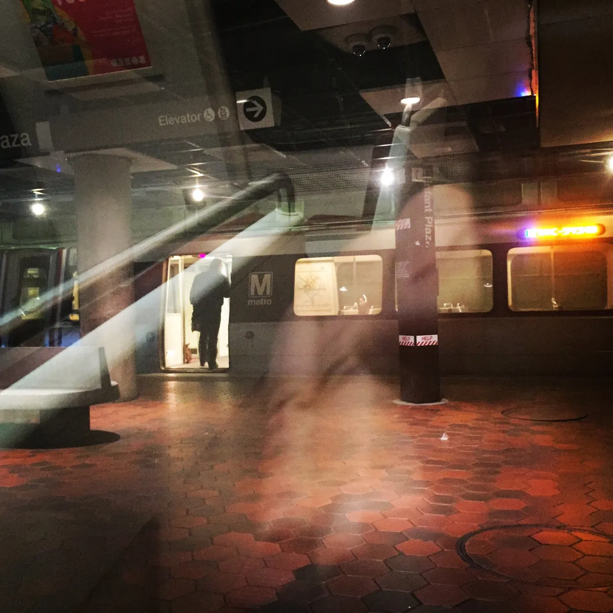 Entry 13071405