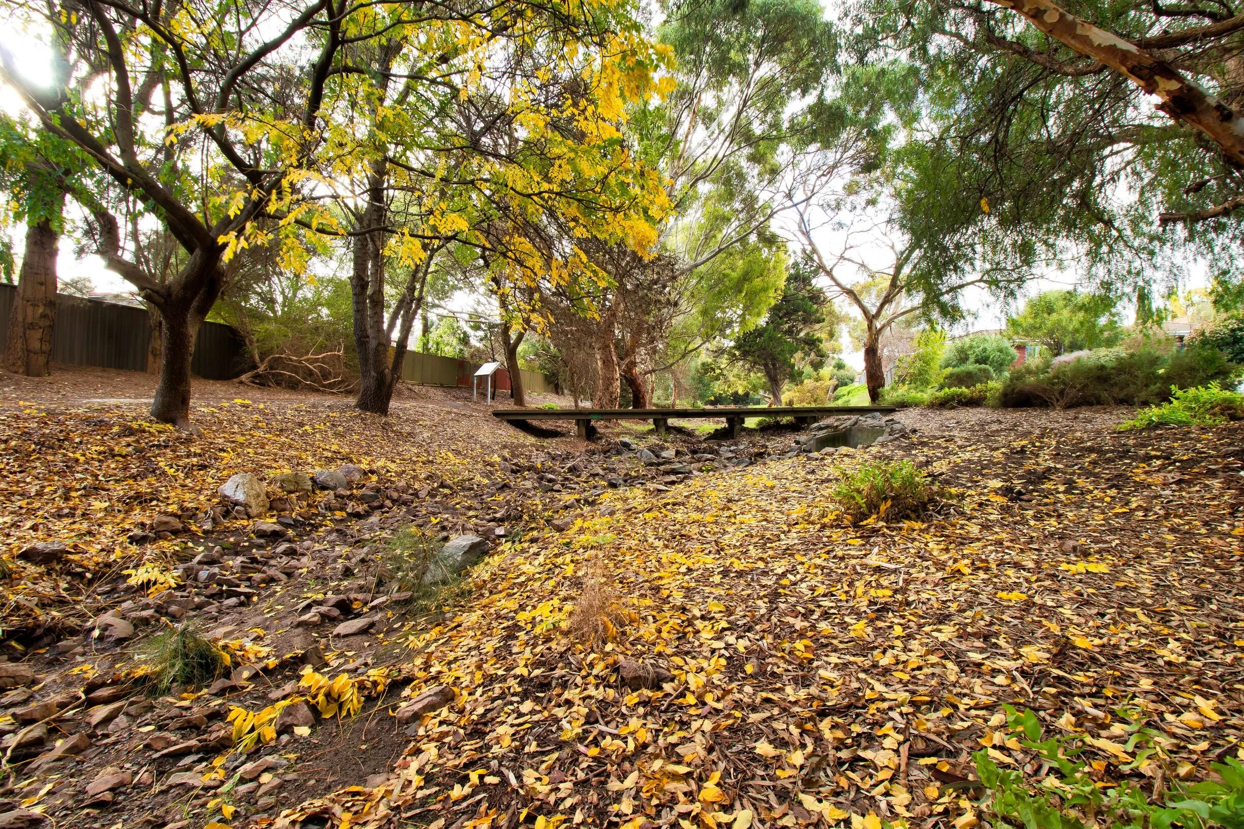 Local park in Winter