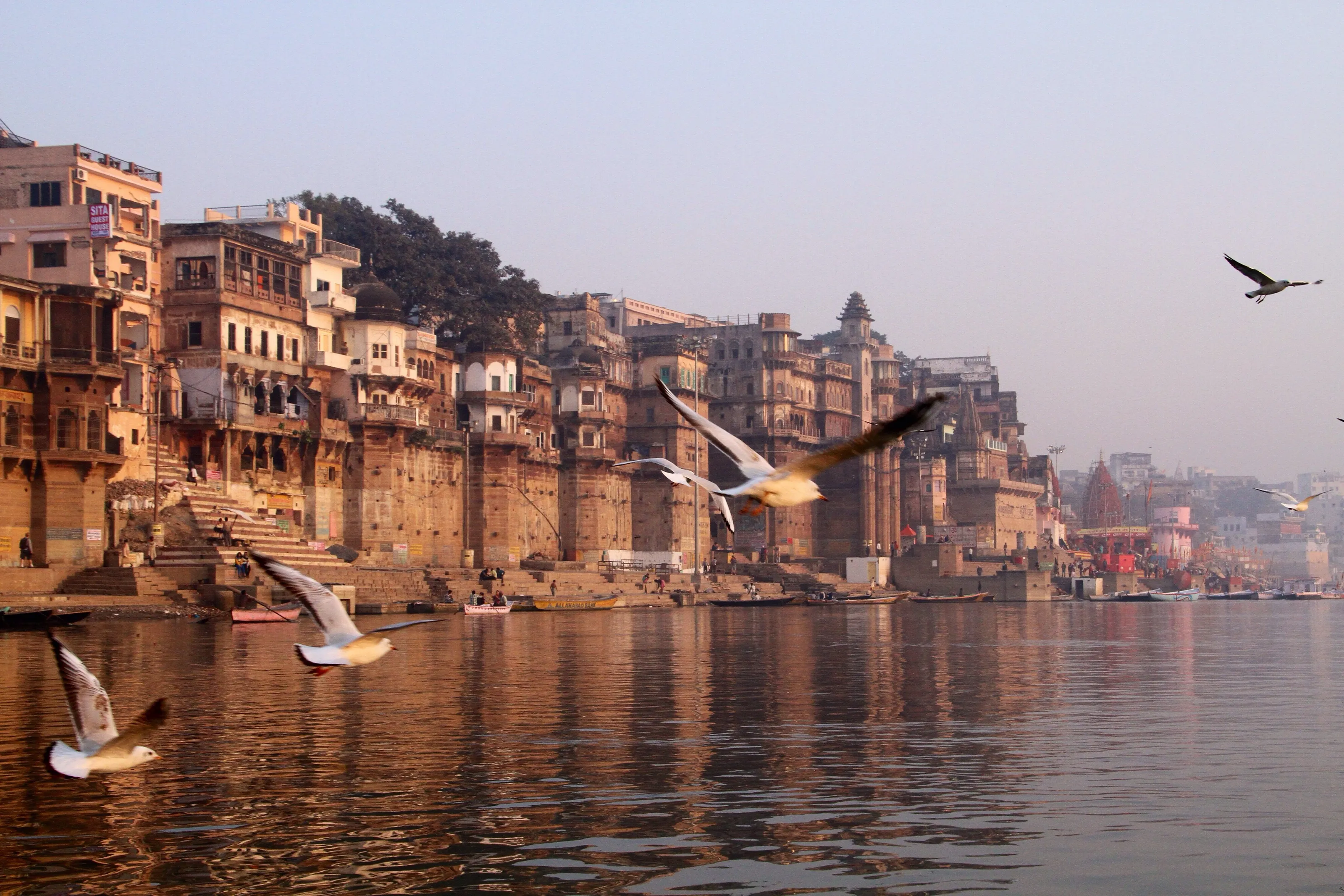 Varanasi Morning