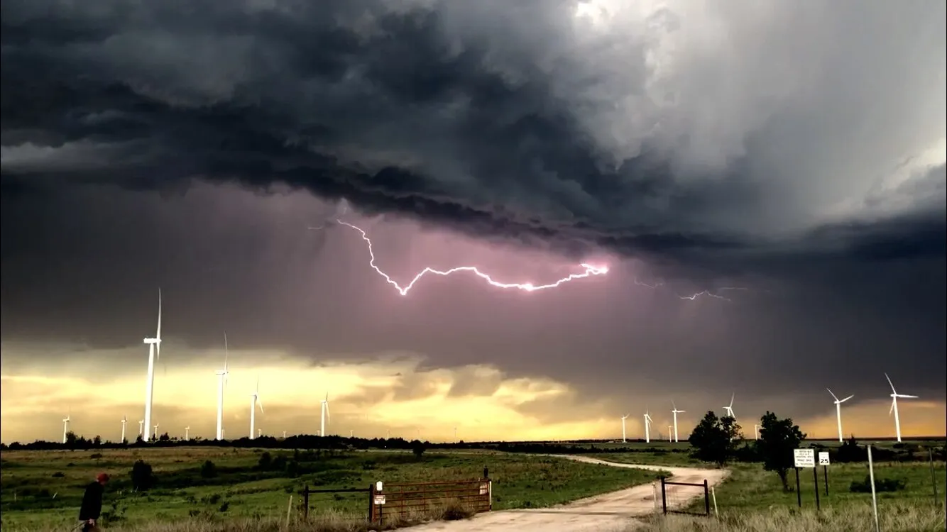 Wild electricity
