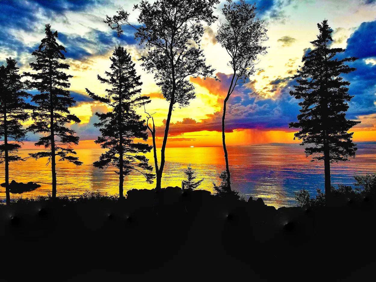 Entry 6875190