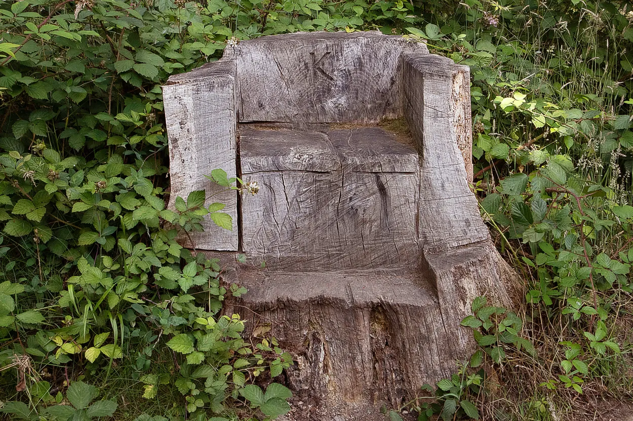 Entry 6881264