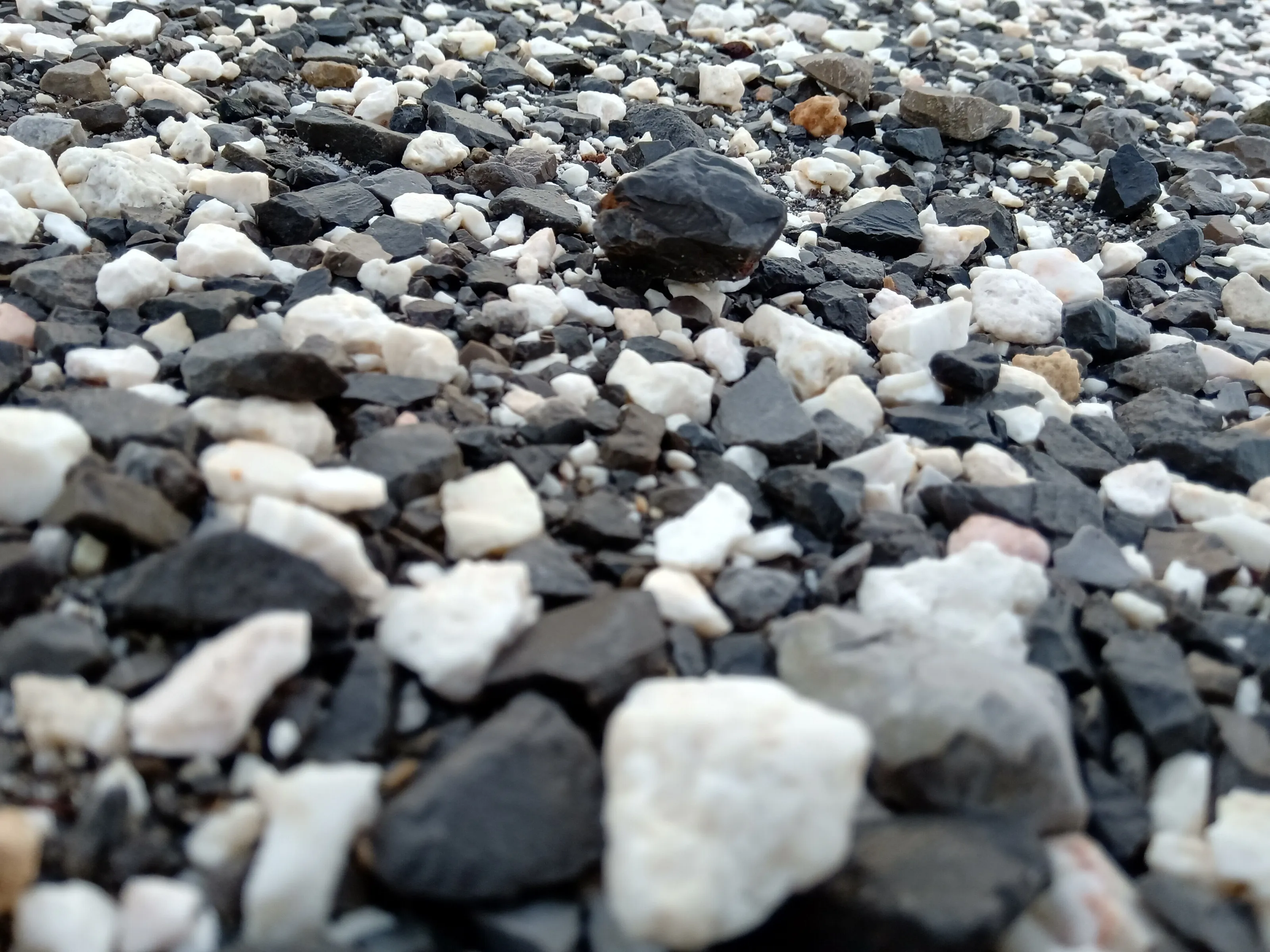 Sea stone