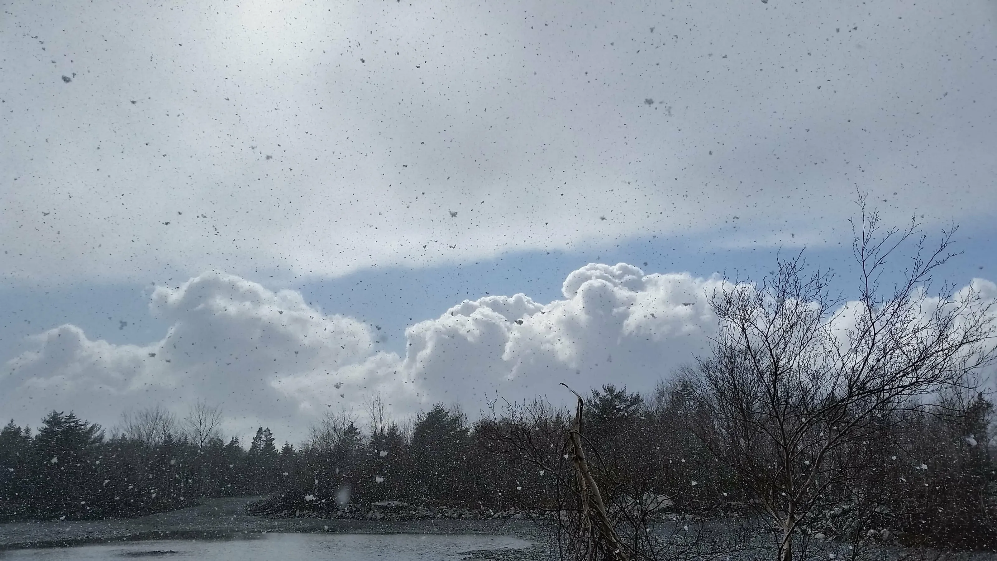 Flurry