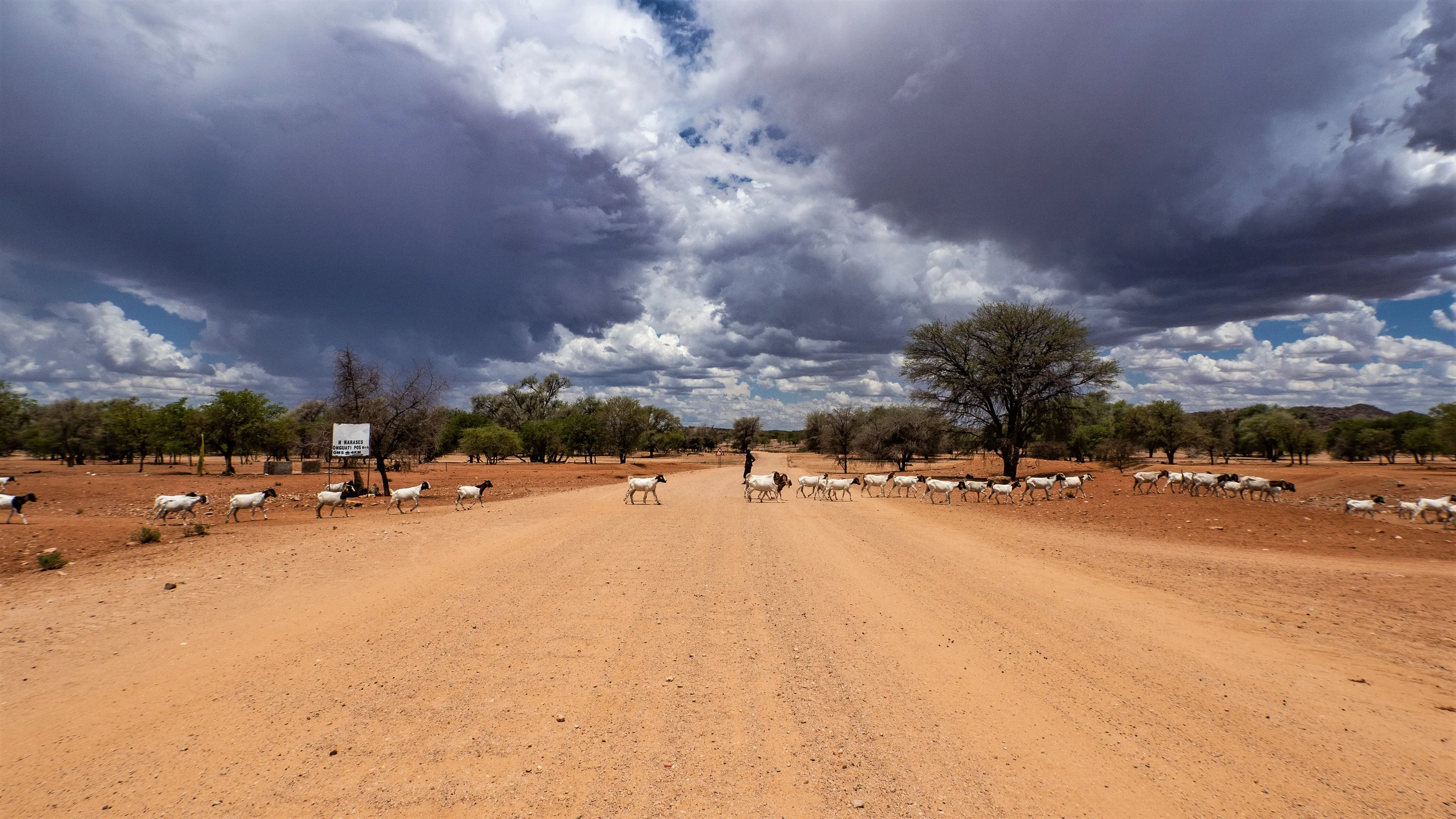 Crossing Roads, Namibia