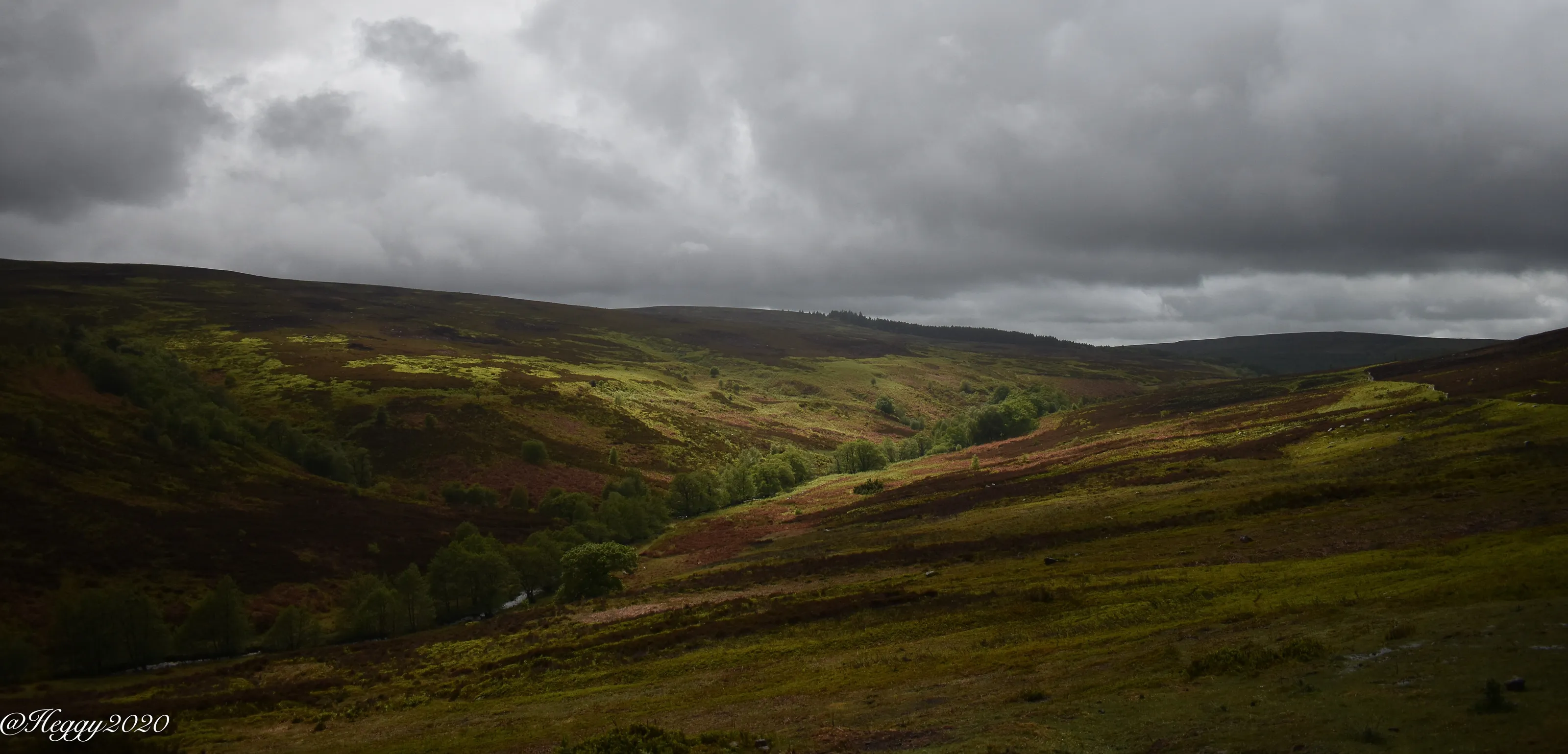 North Yorkshire Moors