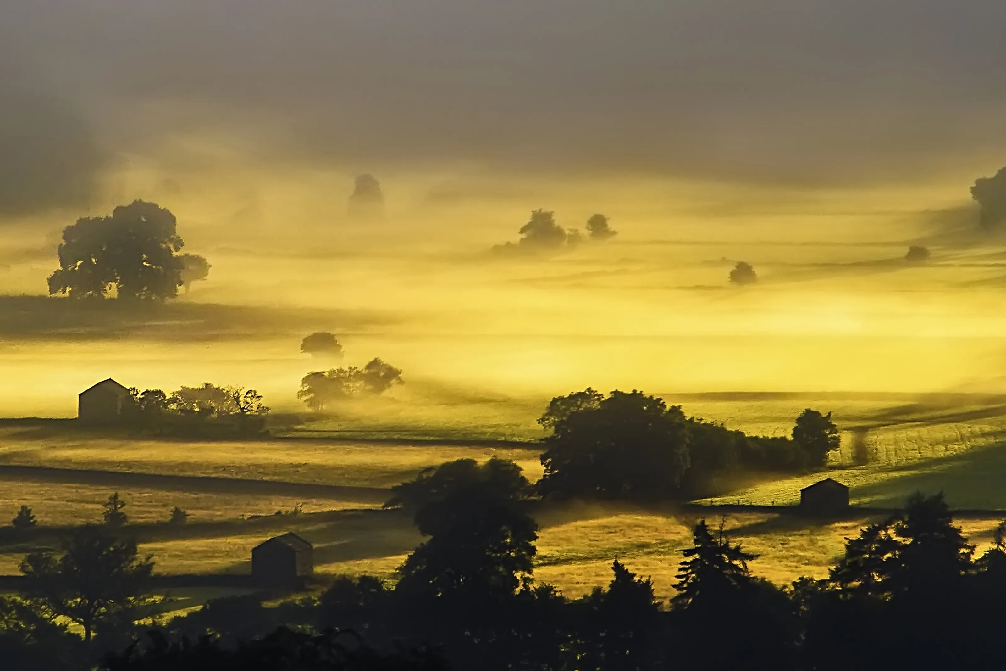 Misty Morning