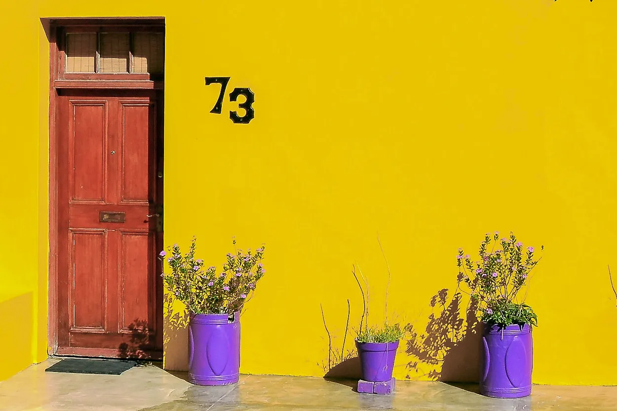 Entry 24227031