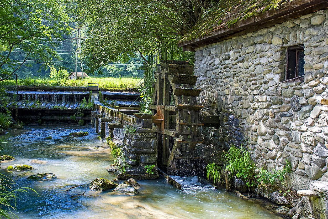 Entry 8607079