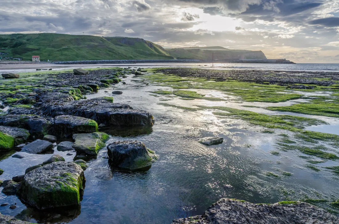 Skinningrove