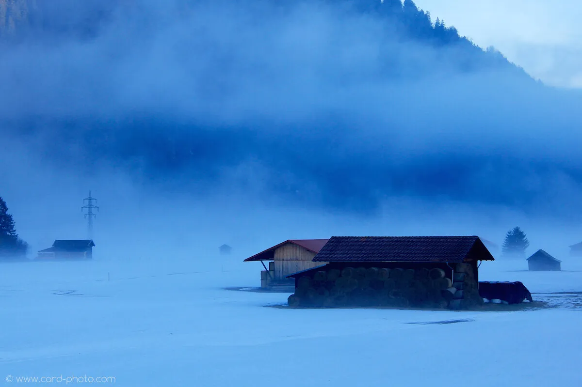 Blue Fog