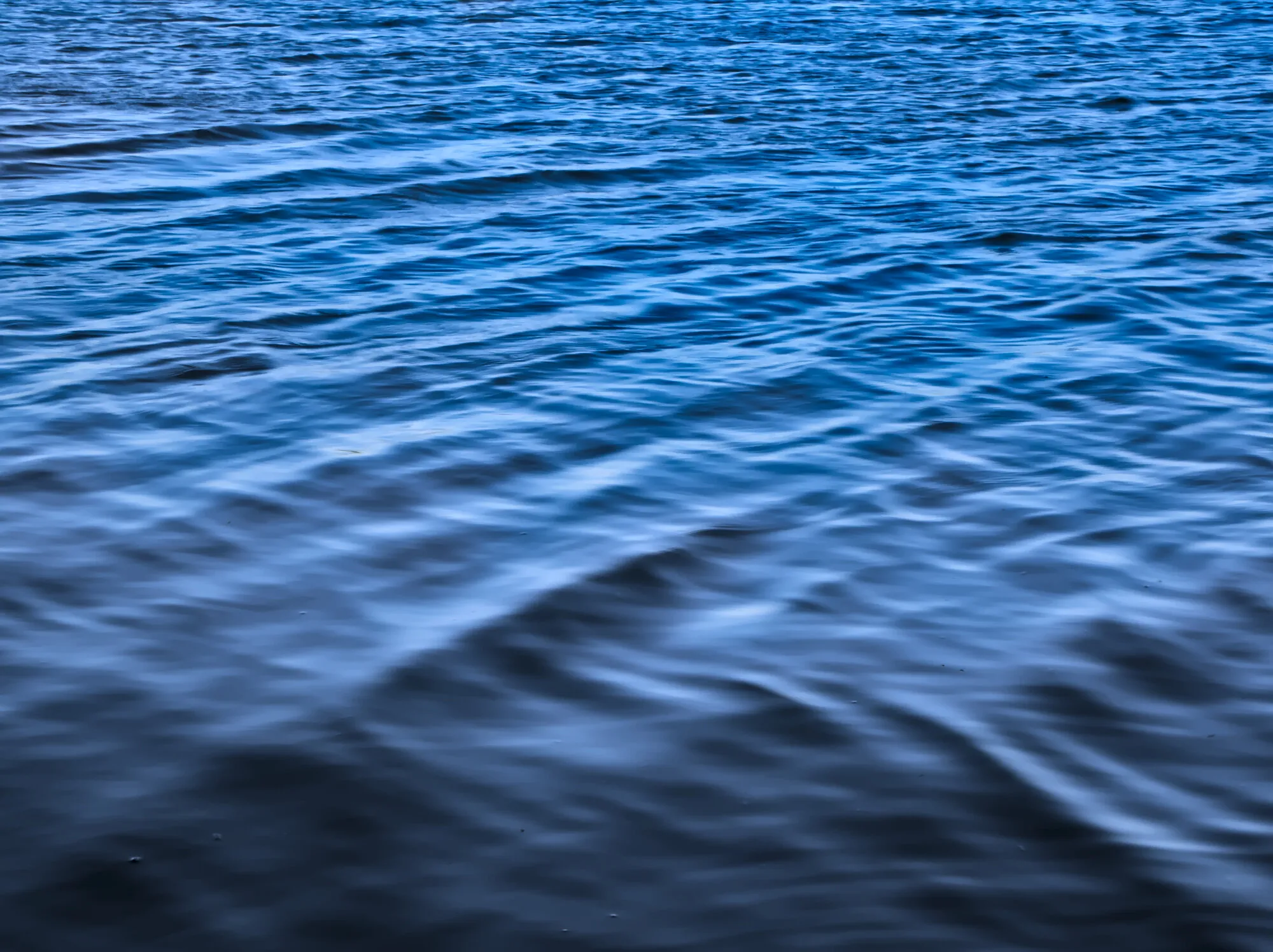 Water movement on the lake