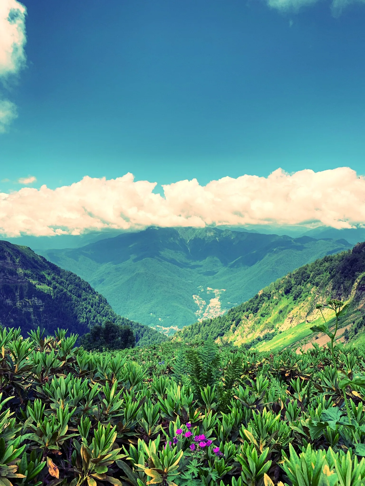 Breathtaking view from above