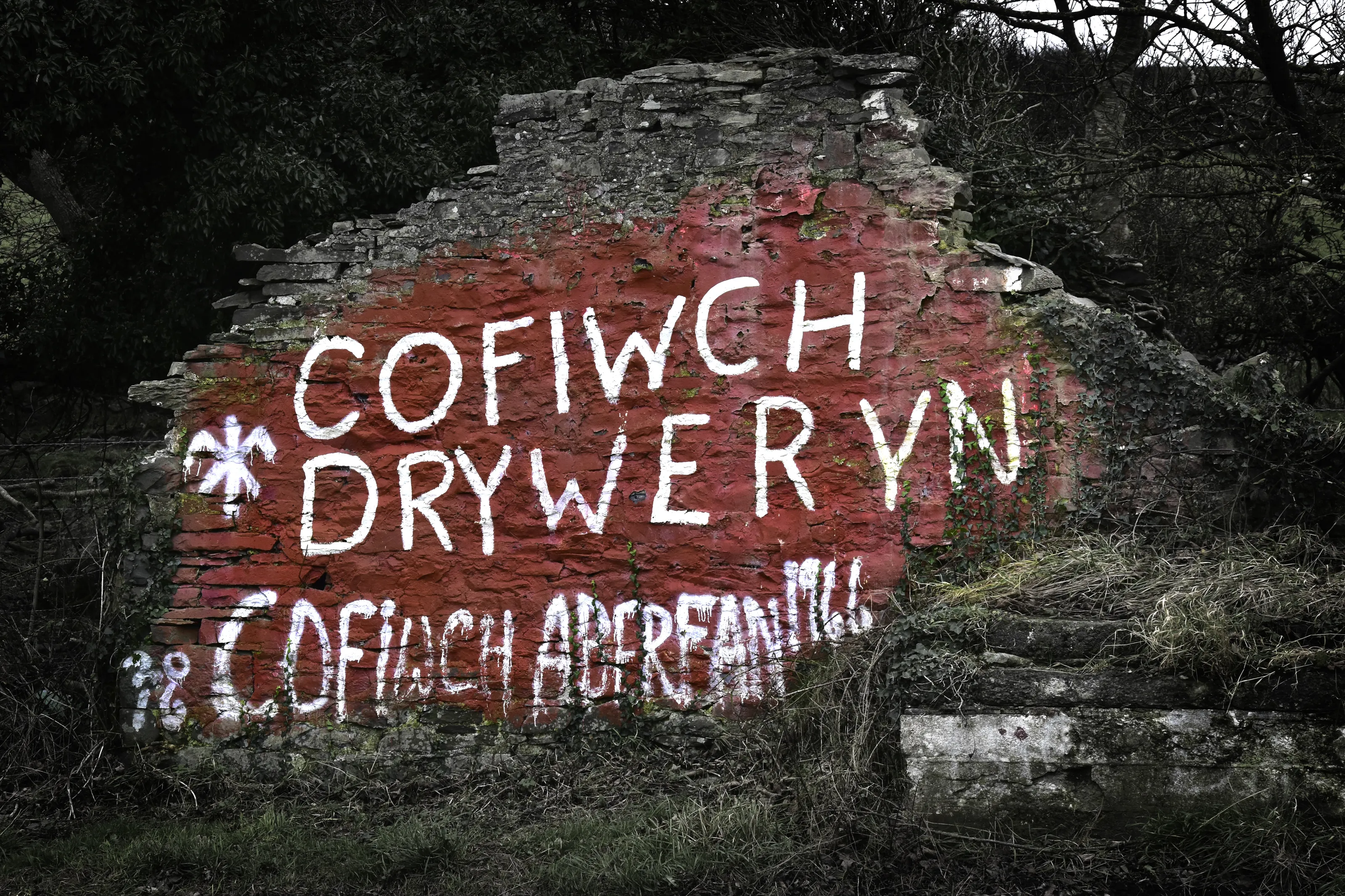 Balchder a Gwladgarwch (Pride and Patriotism)