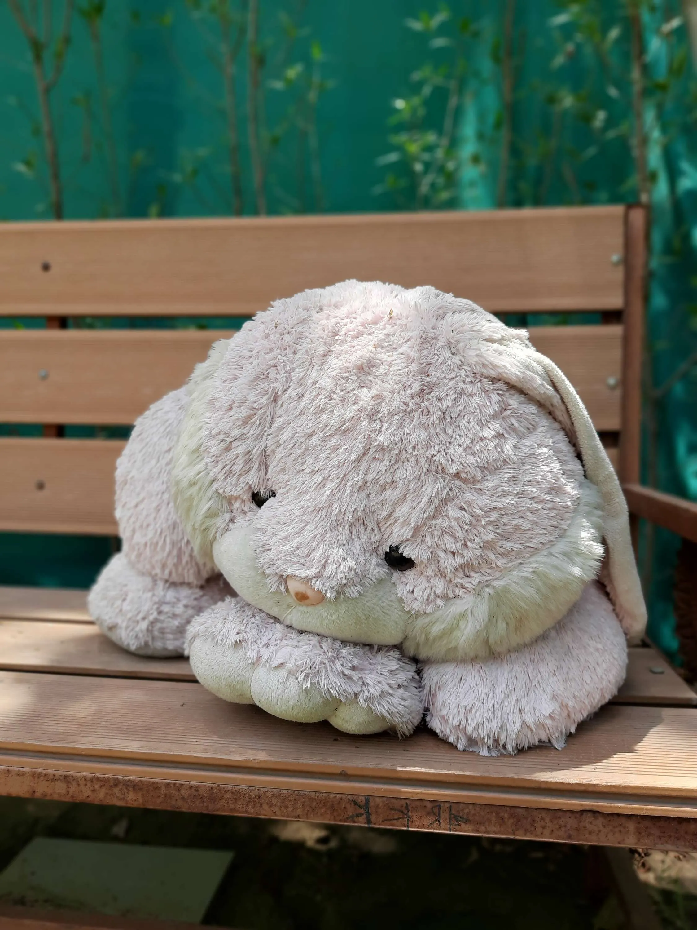 Teddy Bear
