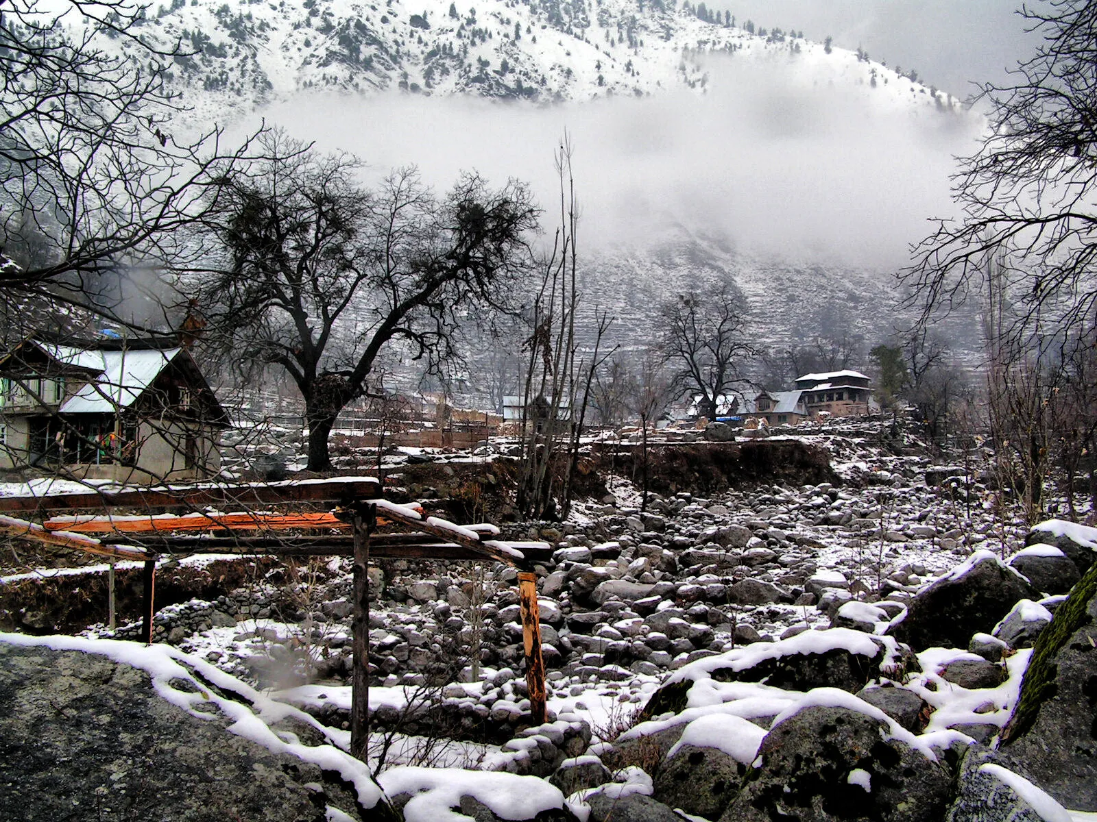 kashmir
