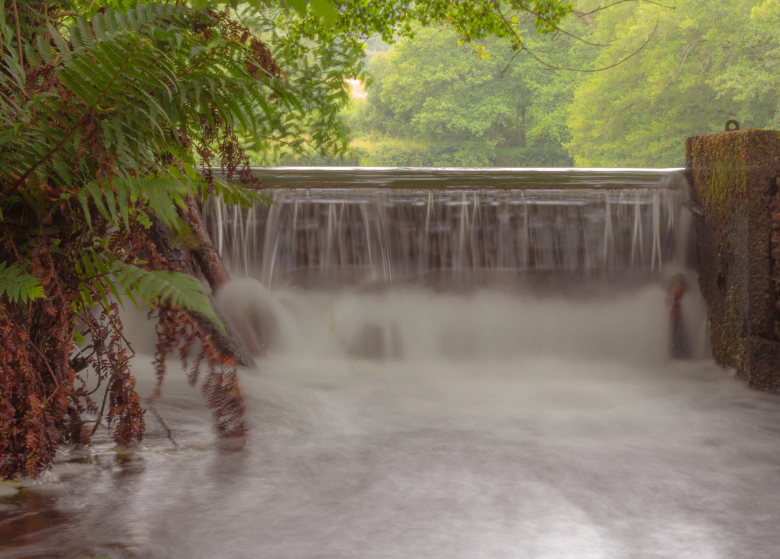 Misty Falls