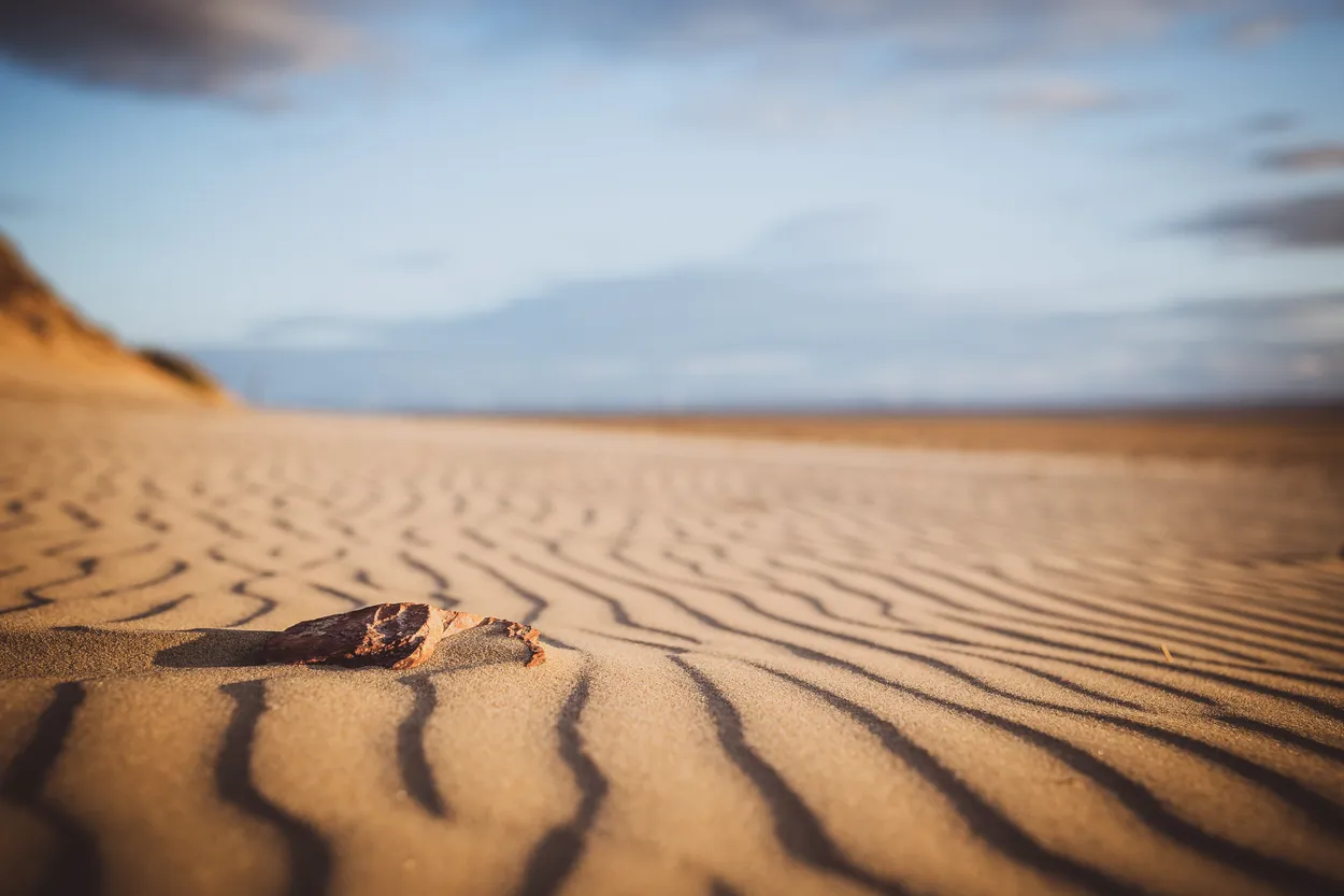 Entry 16257813
