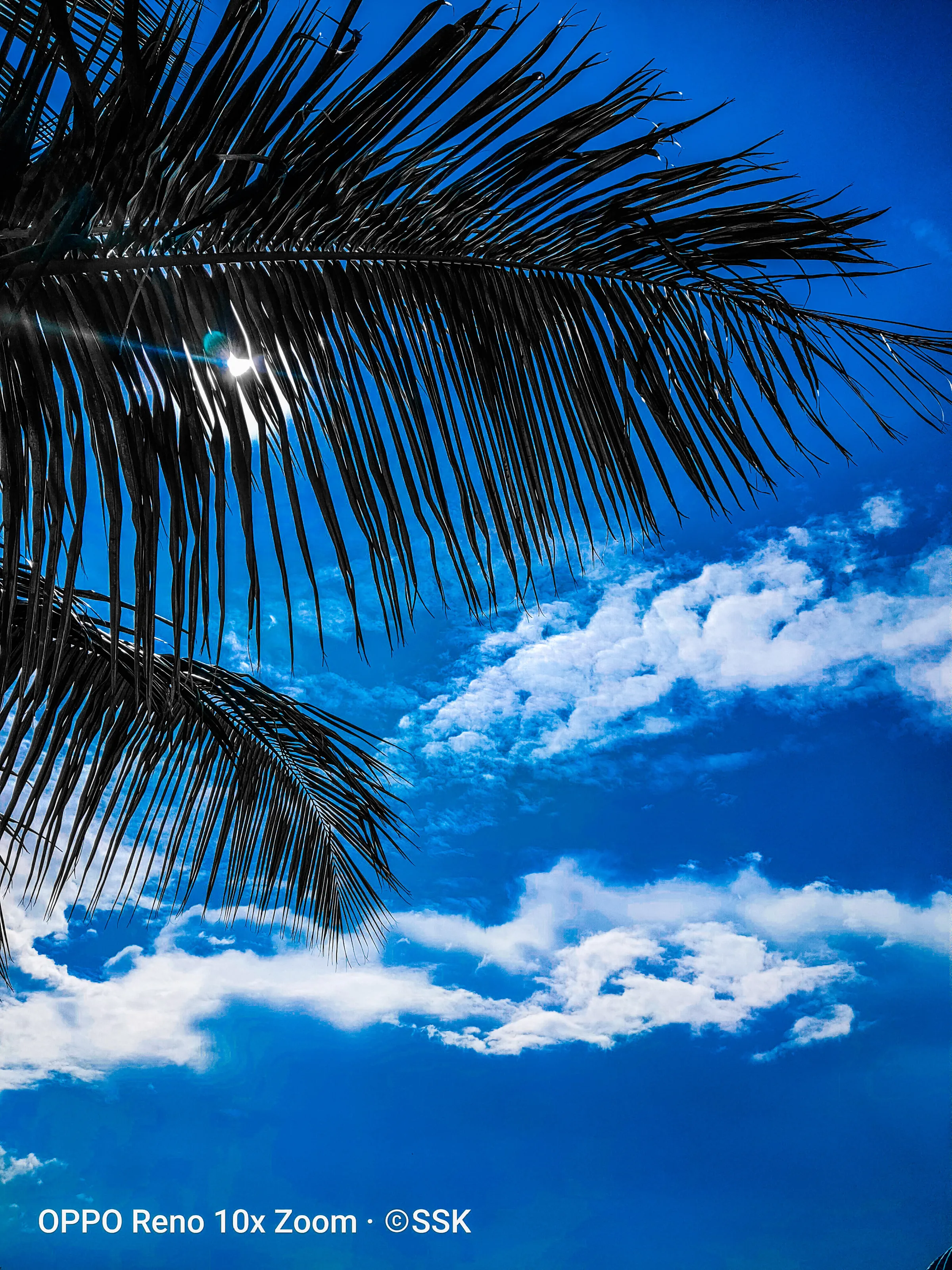 Blue sky