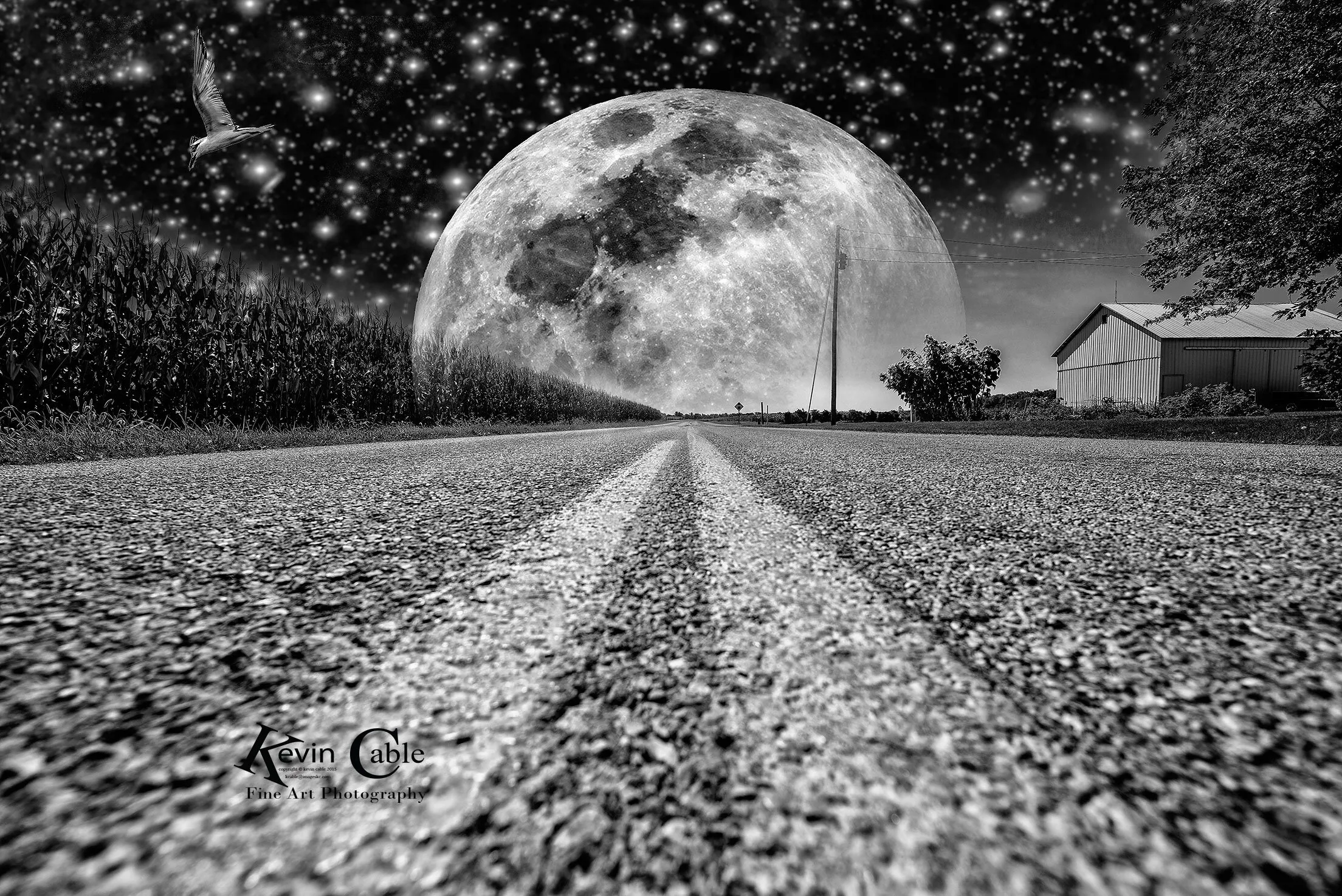 Country Moon Road