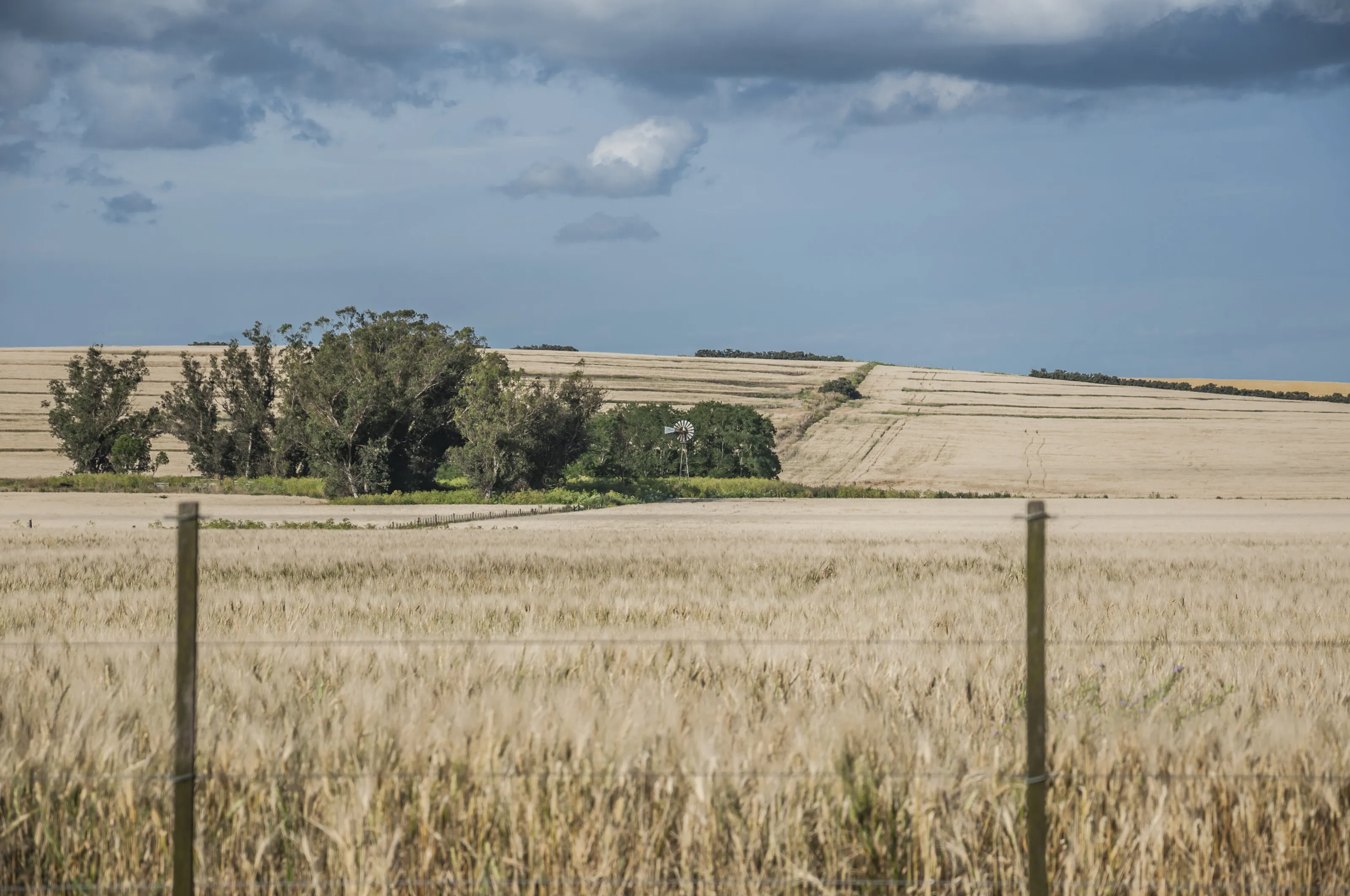 Landscape 7 _DSC0125