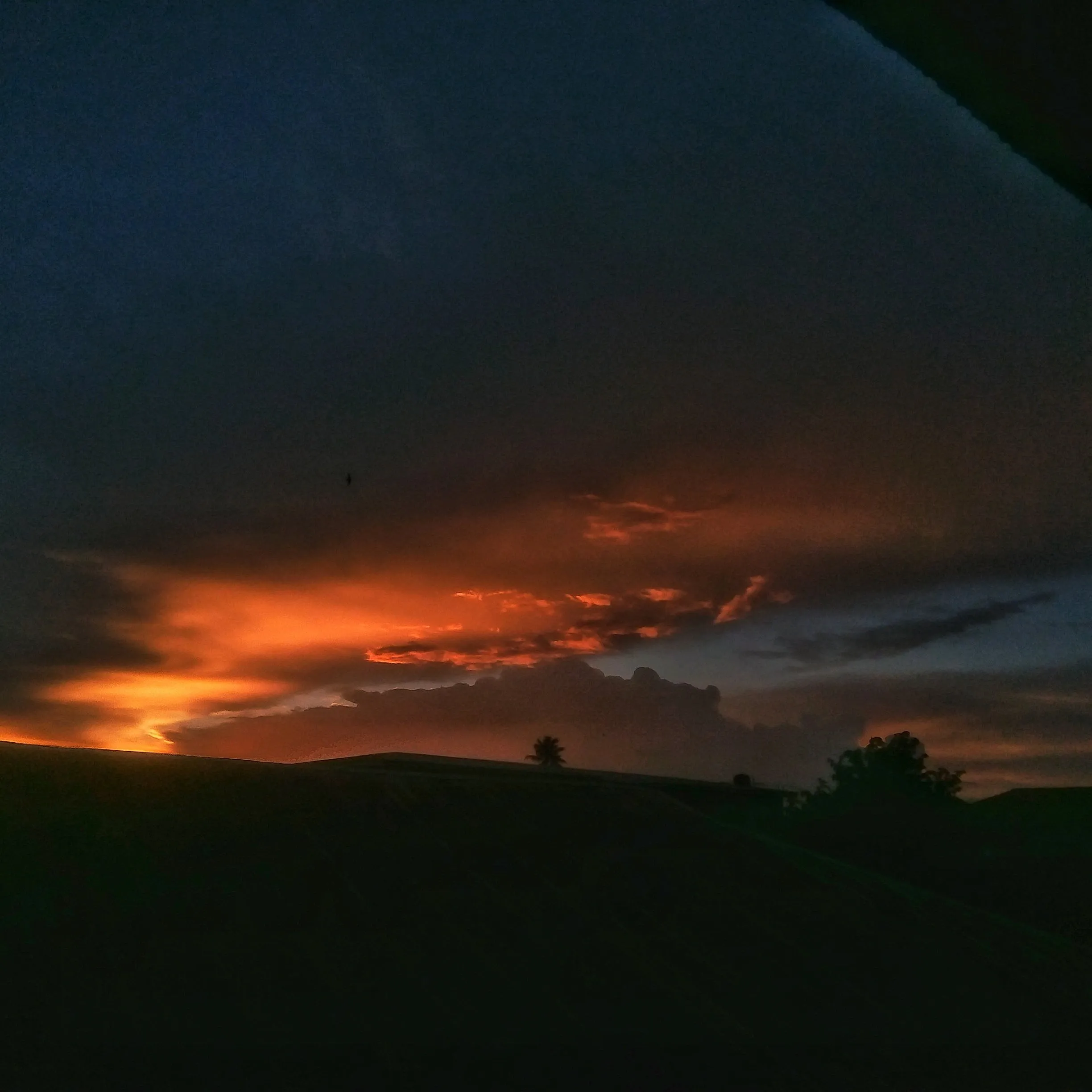 The Night Calls