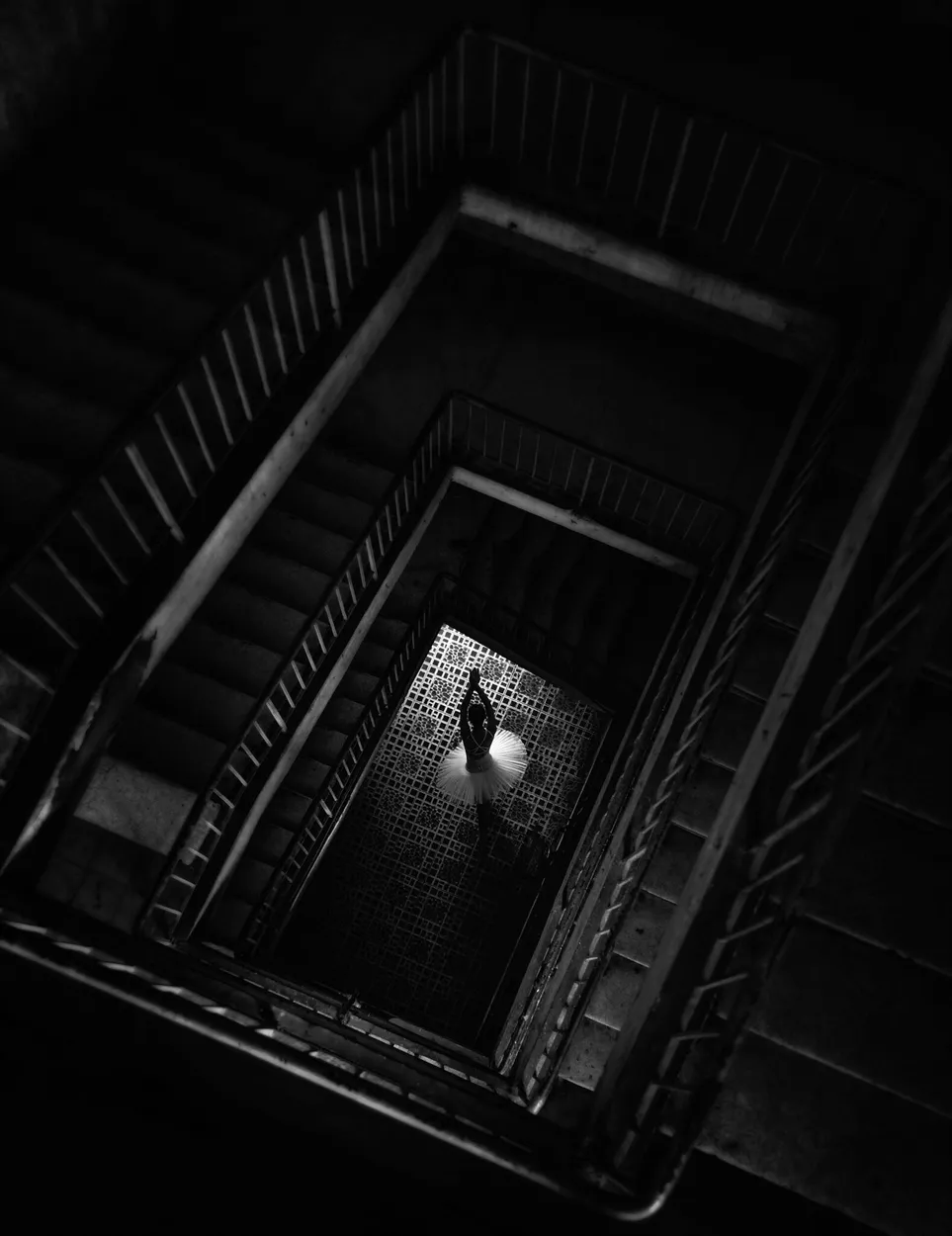 Entry 18240951