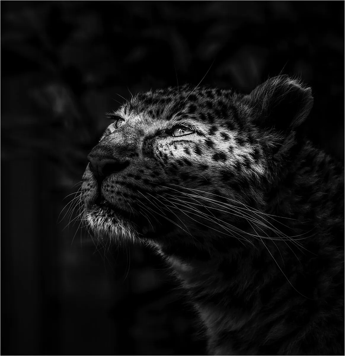 Into the light