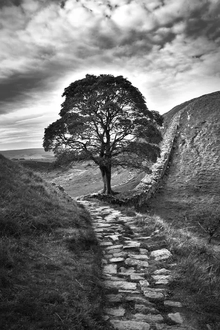 The Path to Sycamore Gap