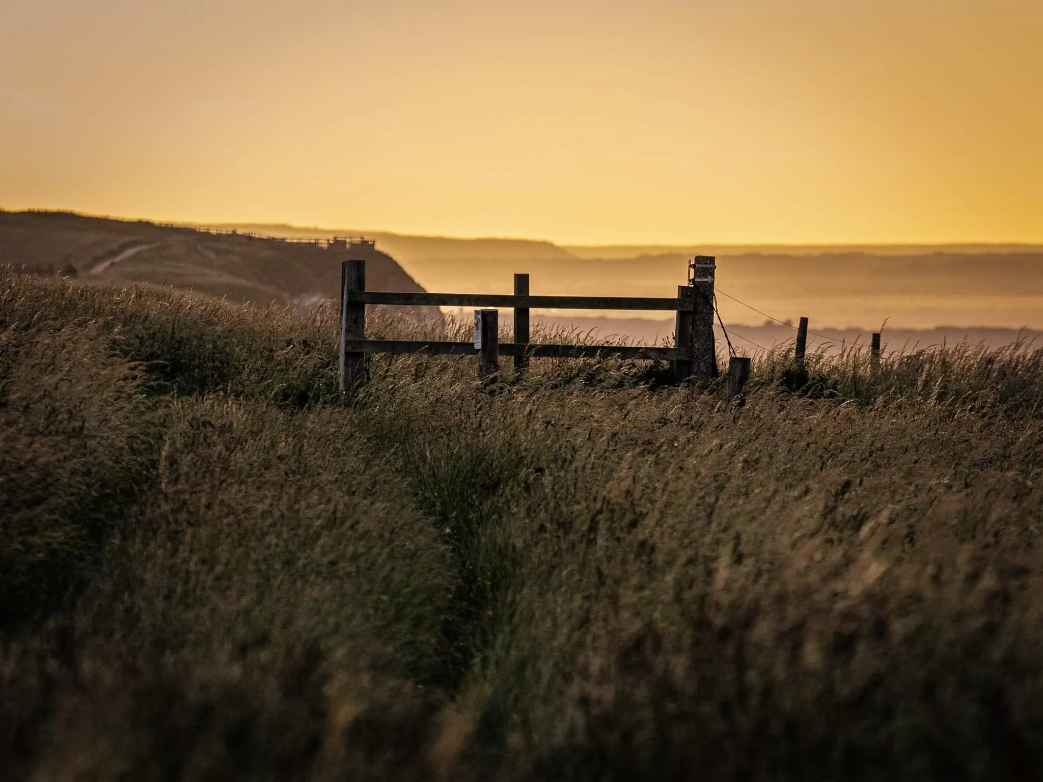 Golden hour fence