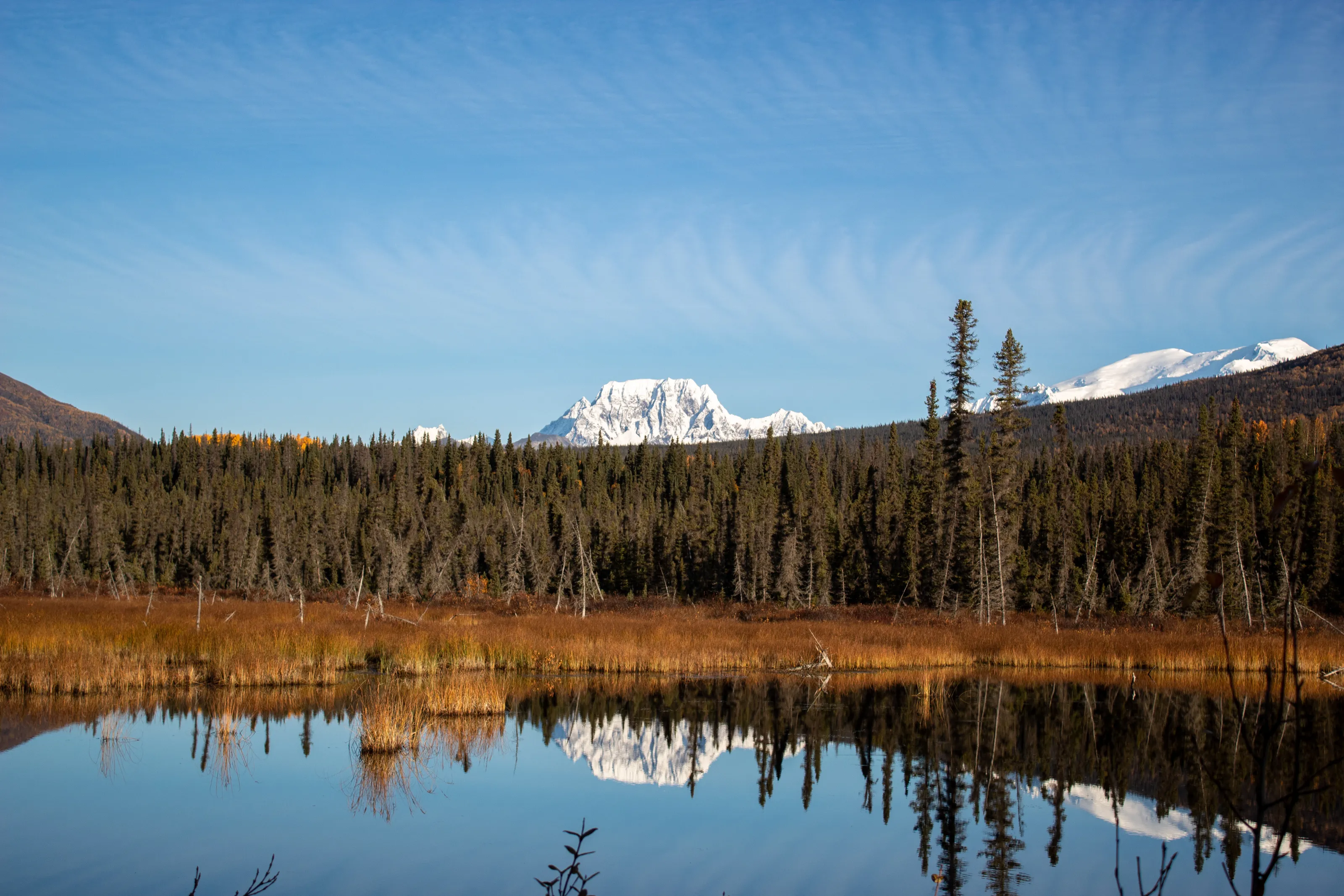 Reflection