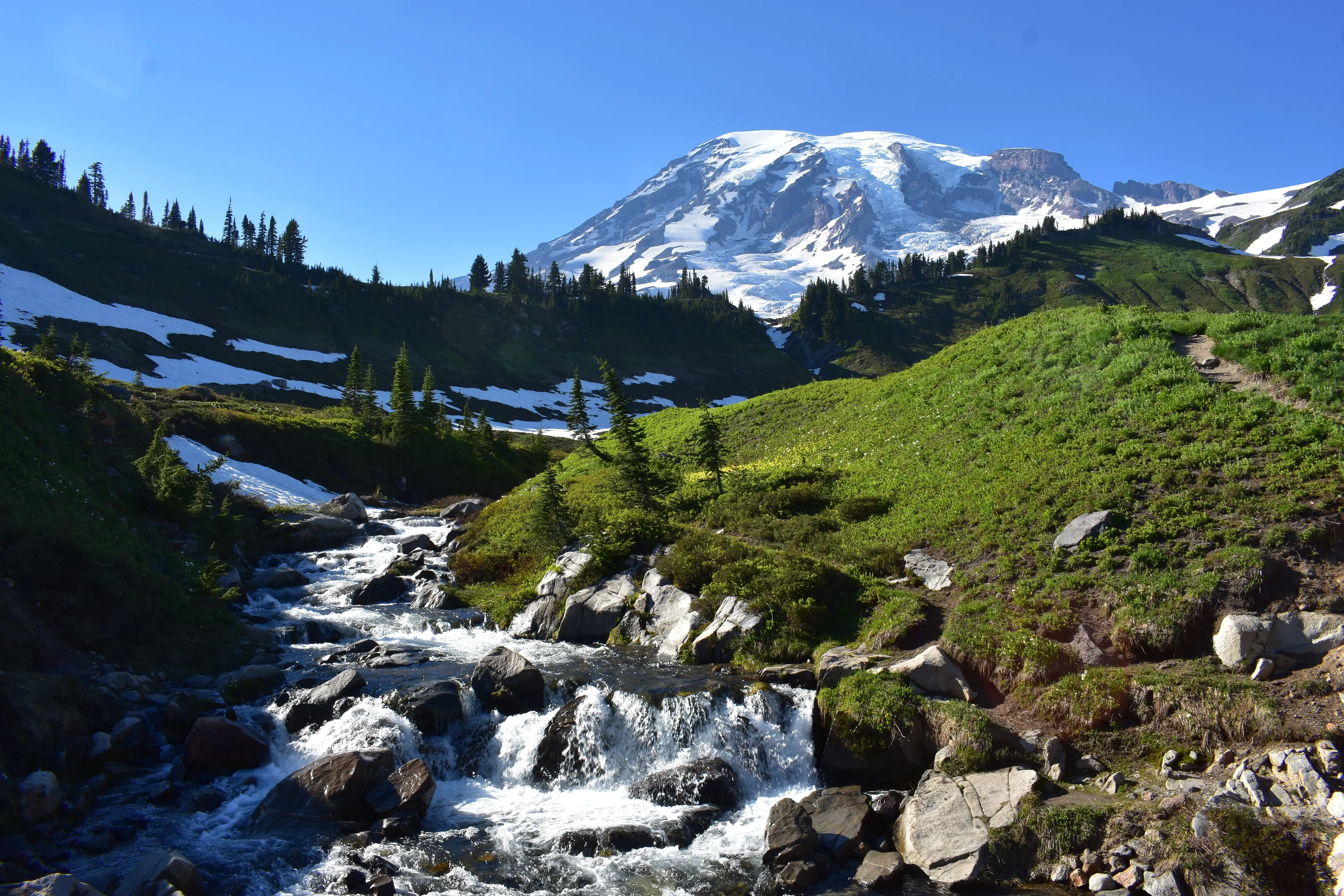 Mt. Rainier Meltdown