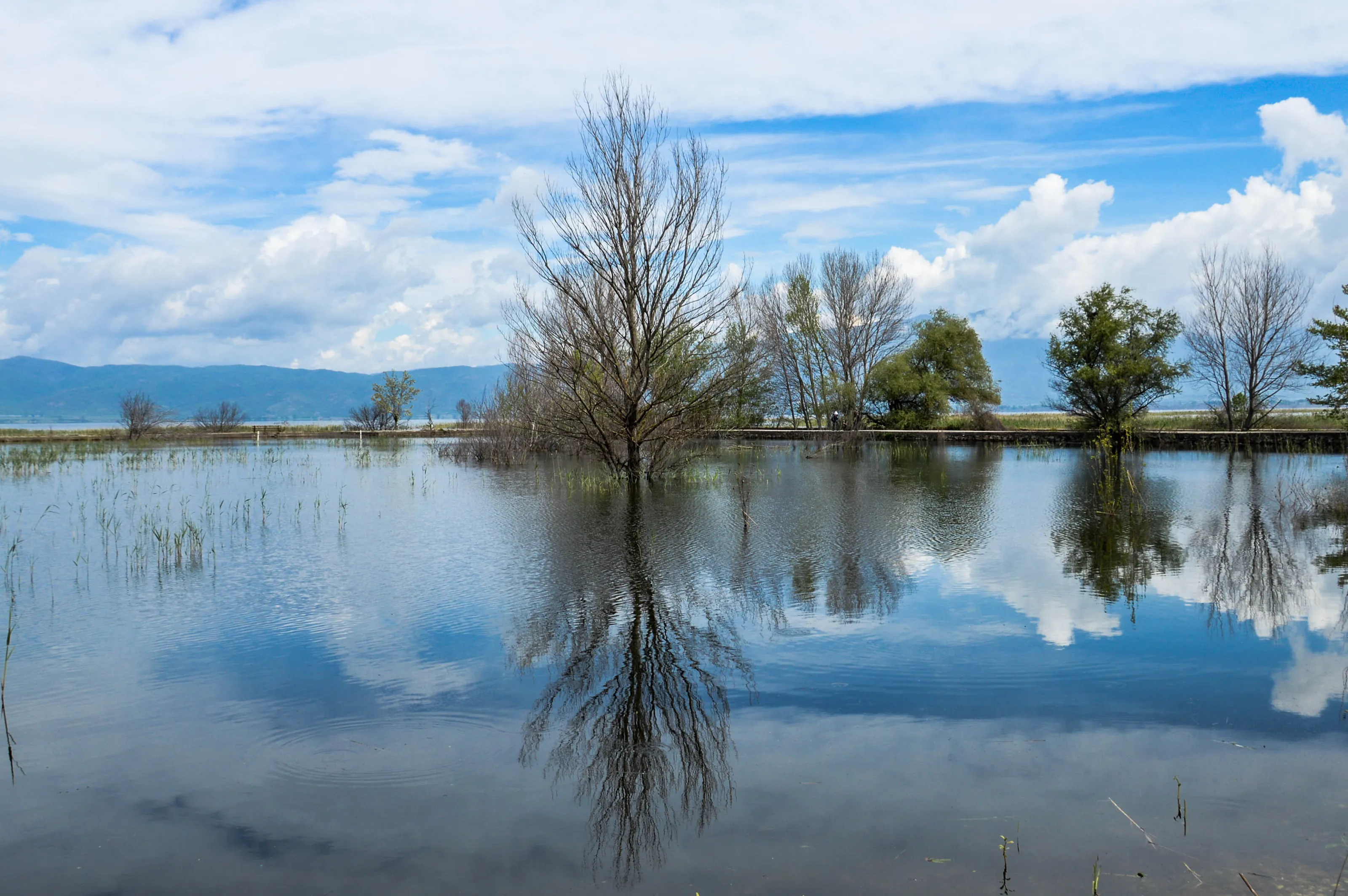 Doirani Lake