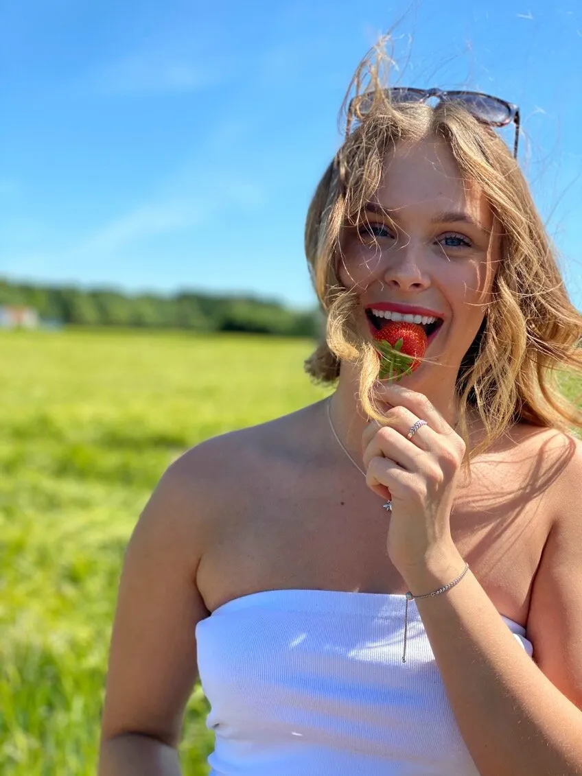Banner image