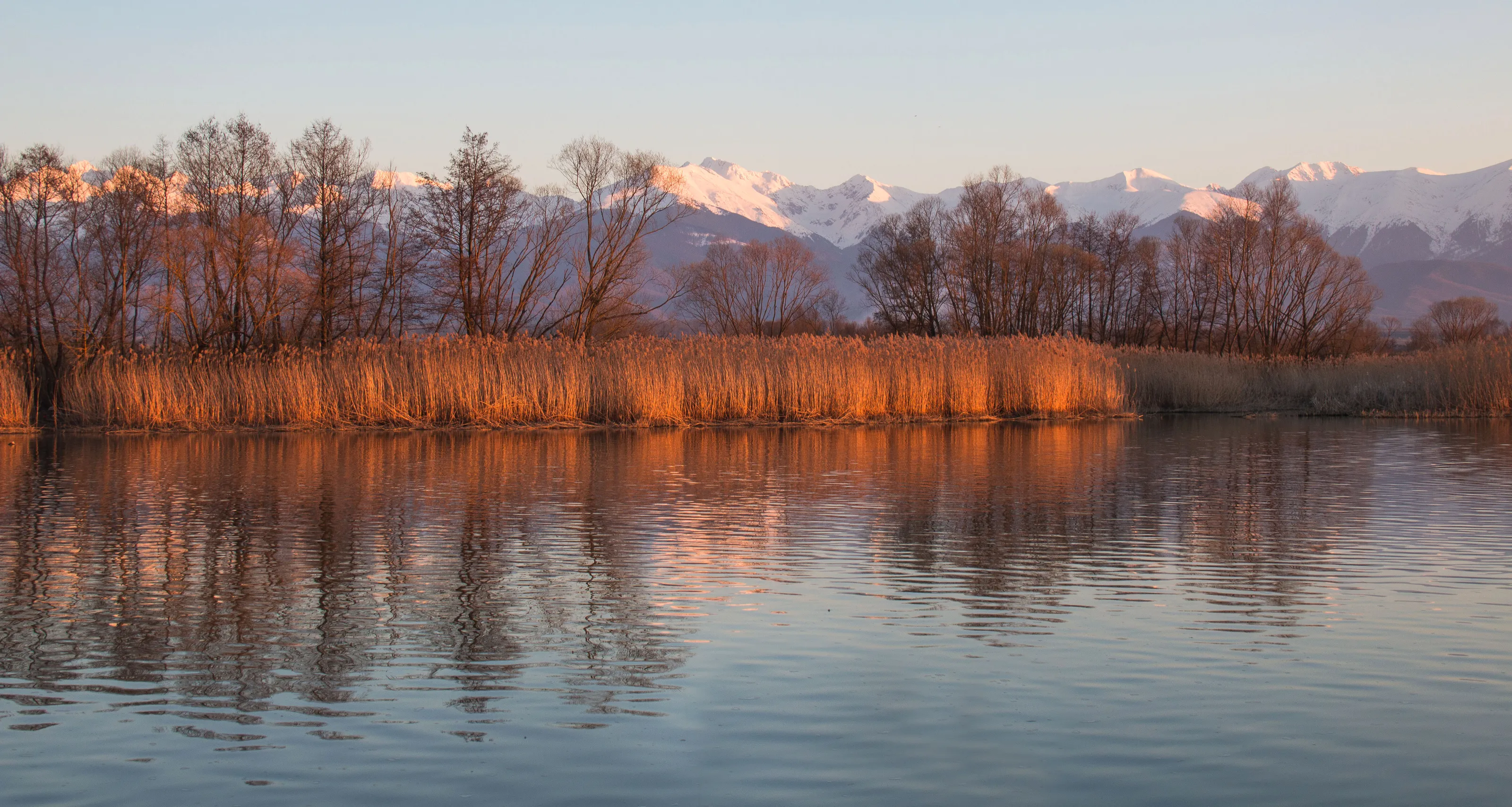 Reflection