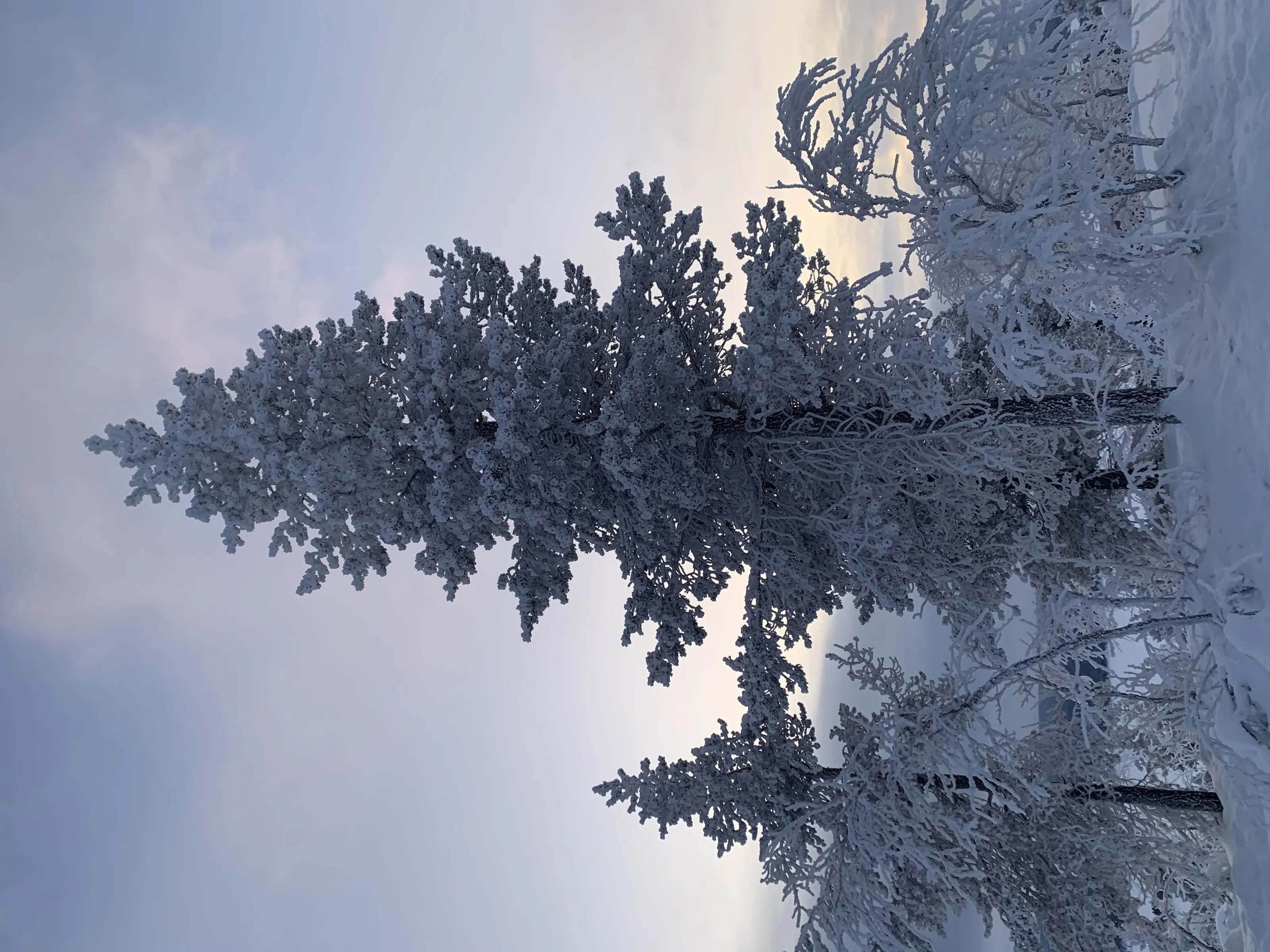 Lapland
