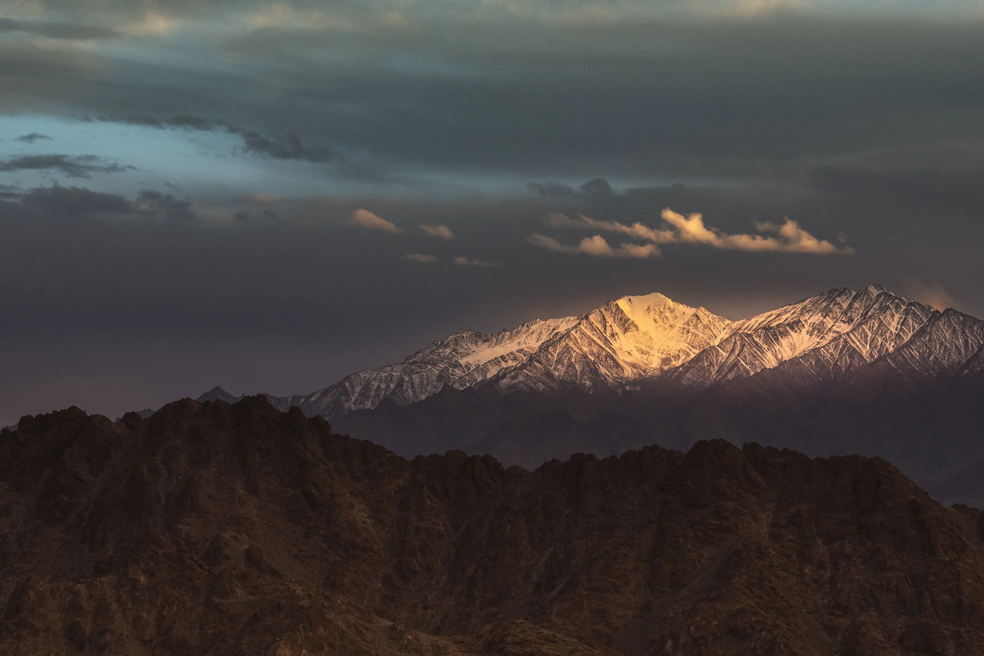 The golden light on the snowscape