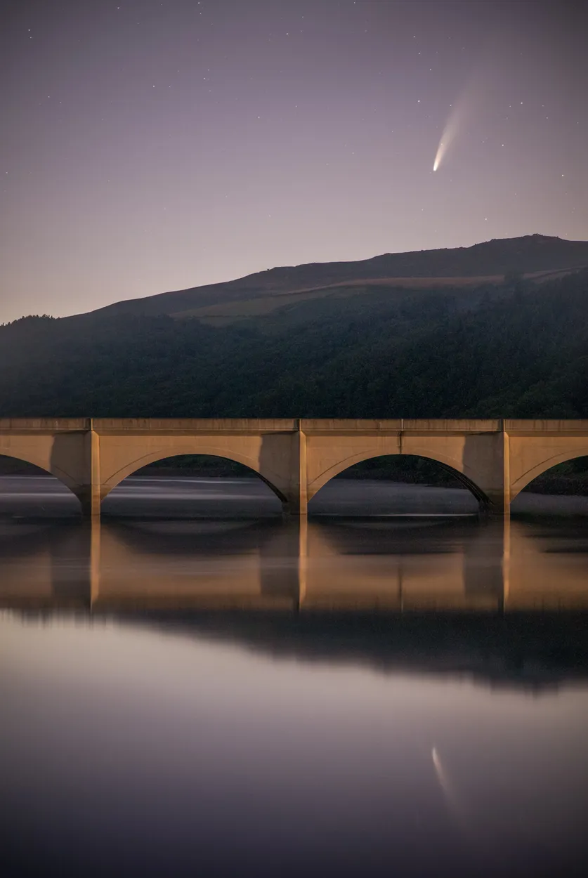 Entry 7103465