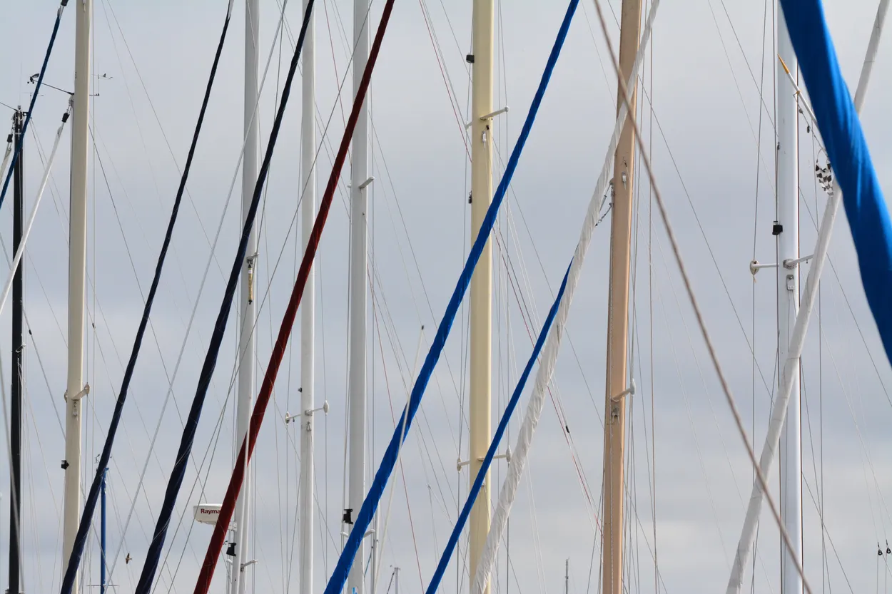 Entry 38600
