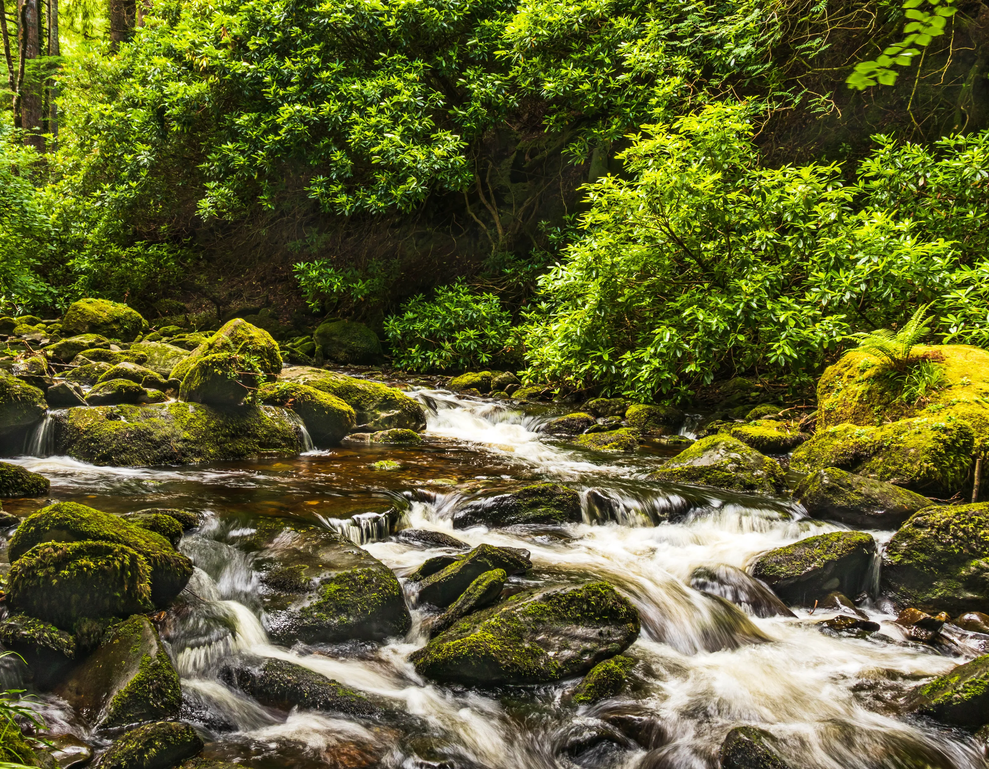 Killarney National Park