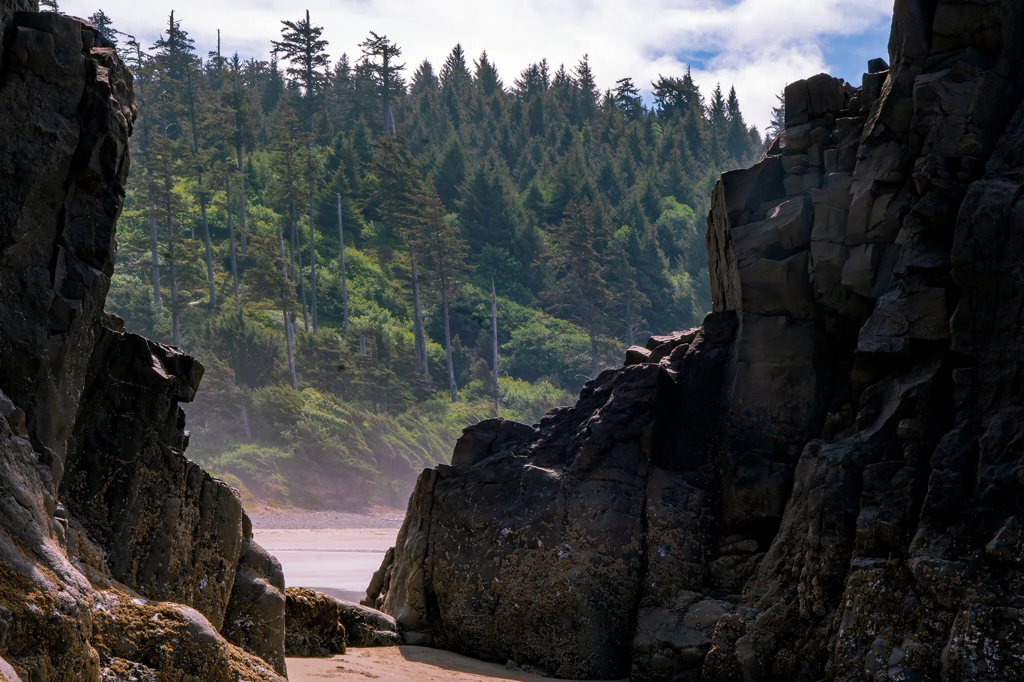 Ecola State Park, Oregon