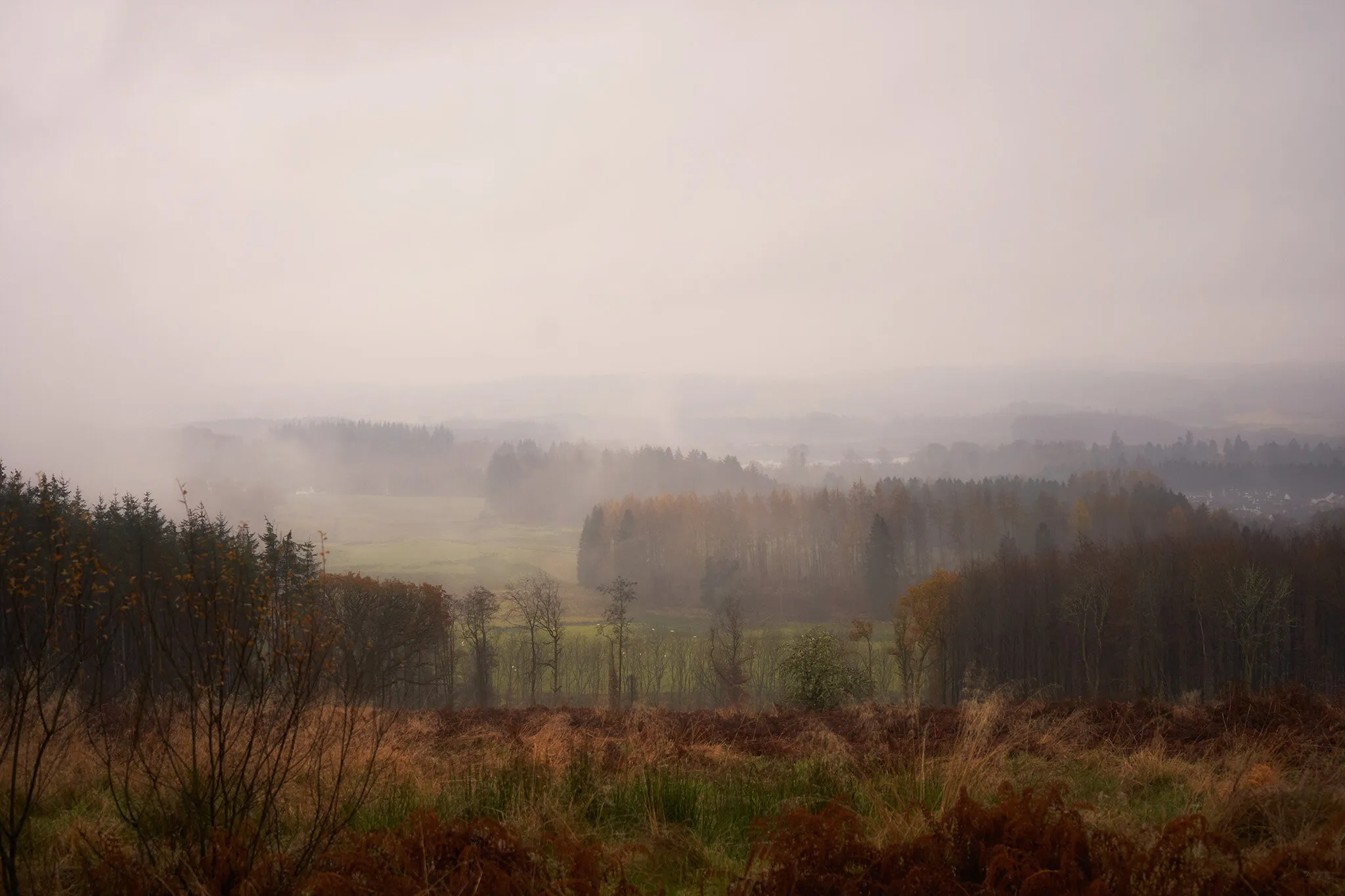 Misty