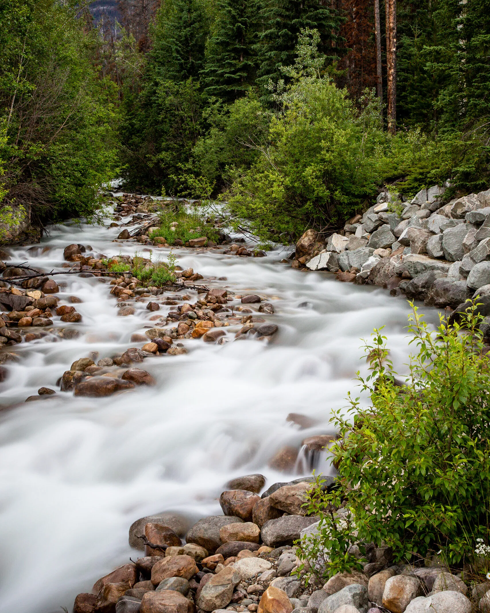 Cotton candy cascading stream in the Rockies