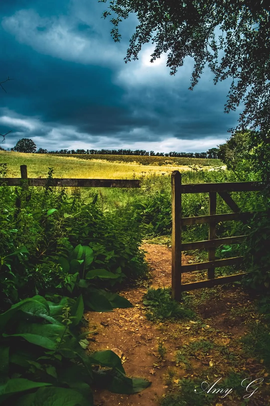 Through the Gate