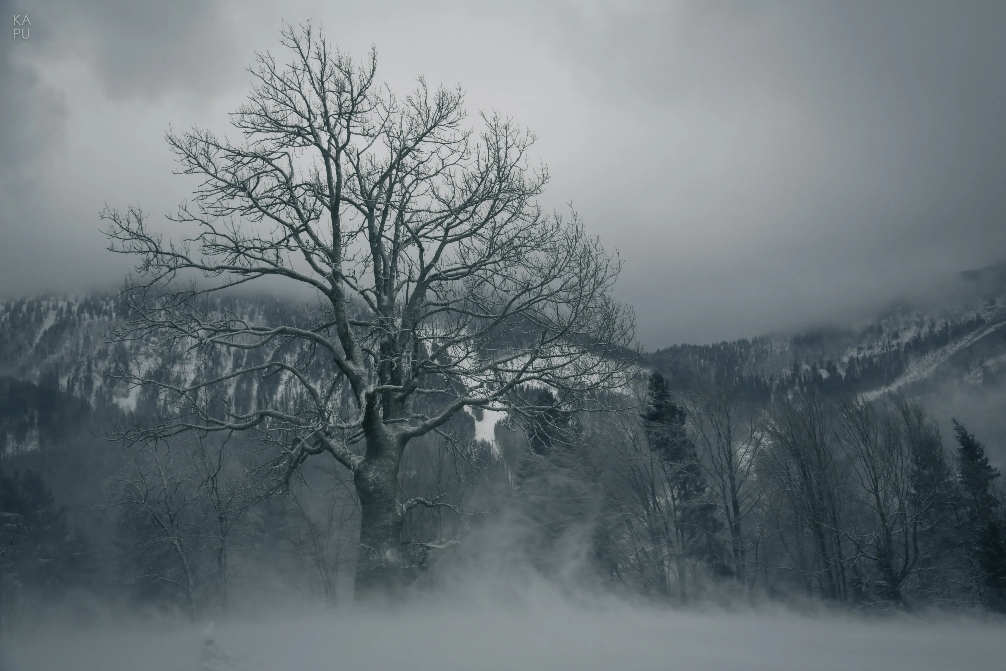Snow Storm at Lackenhof
