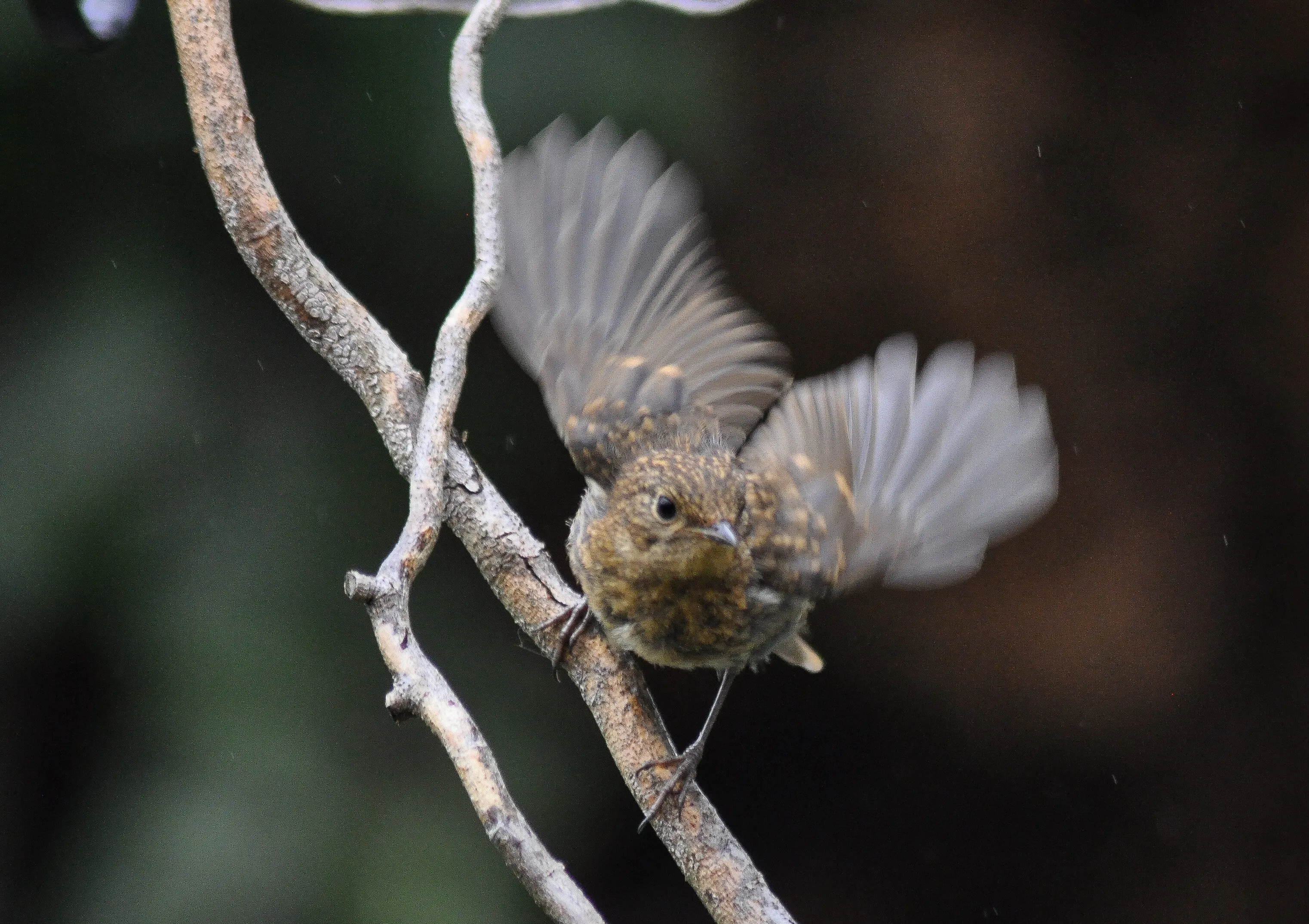 Take off