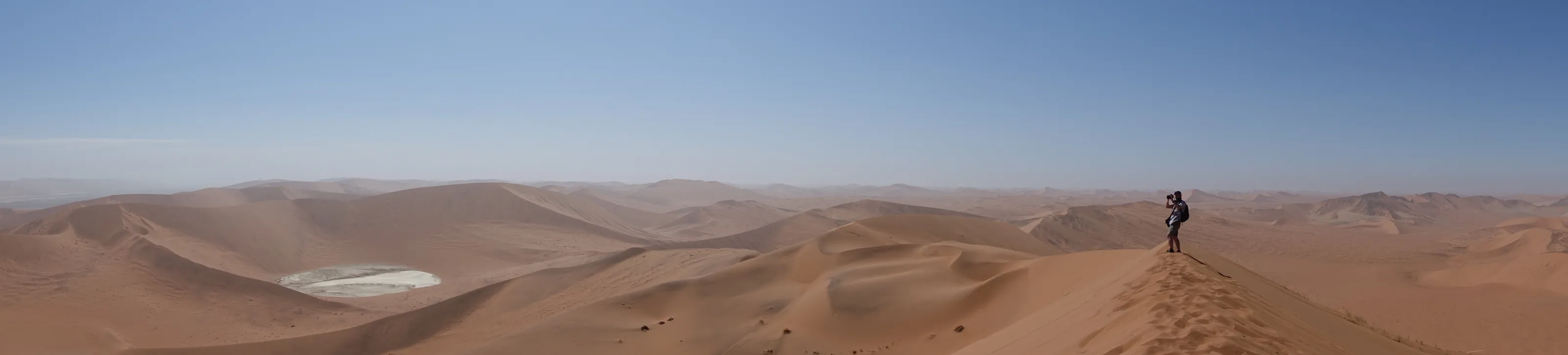Sossusvlei Sandscape