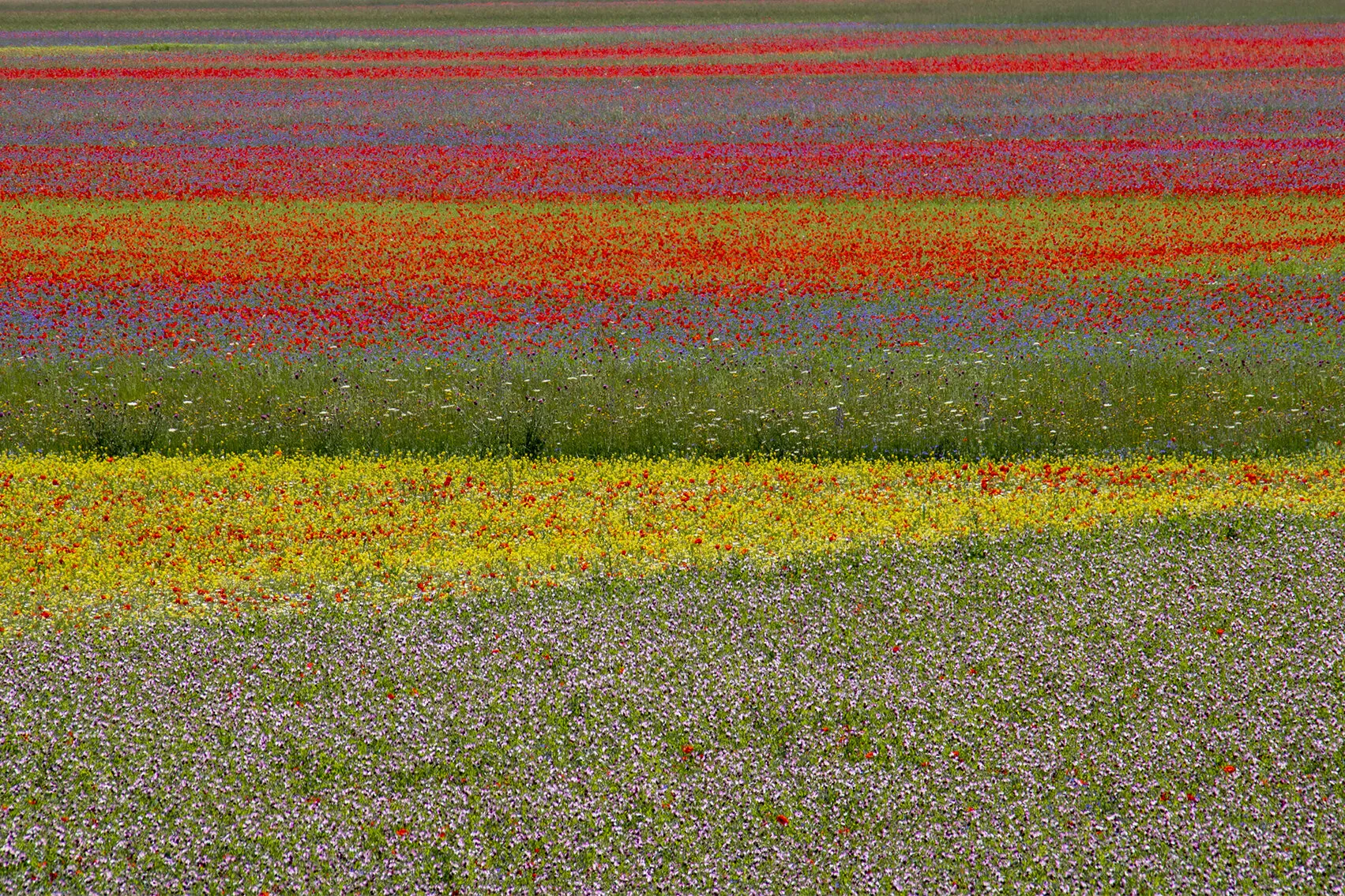 Nature palette
