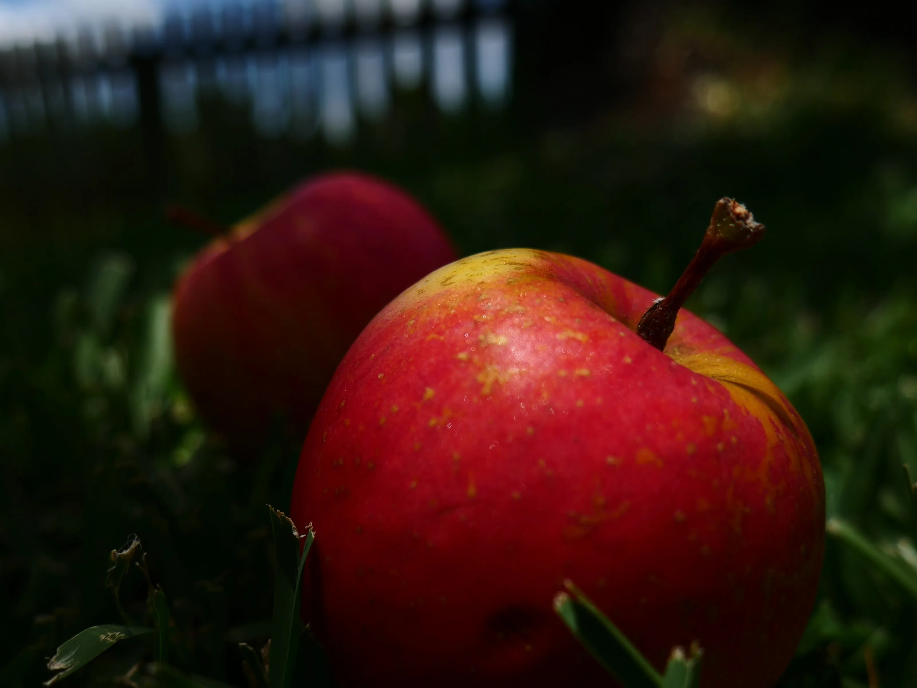 Care for an Apple?