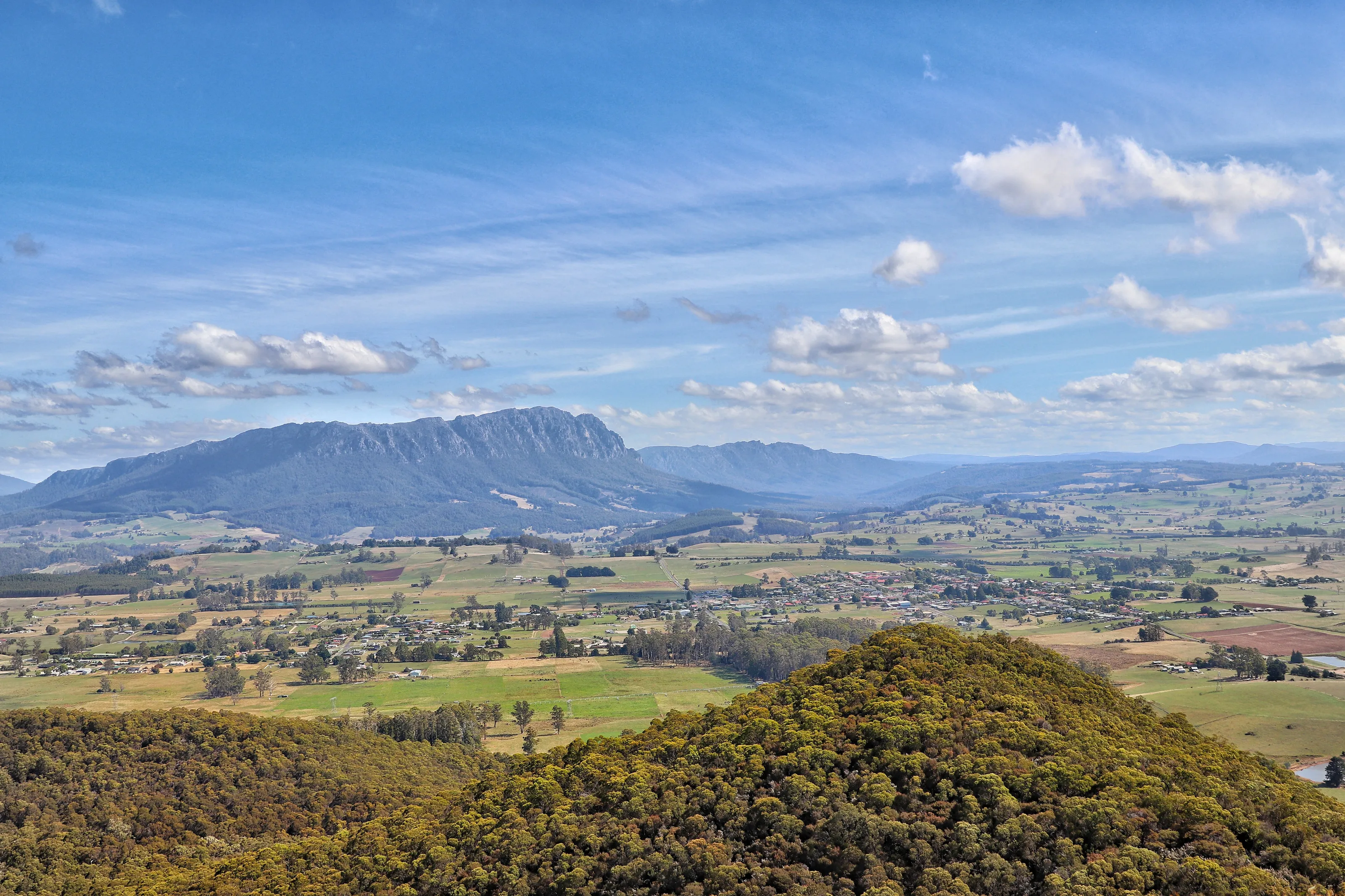 Tassie look out